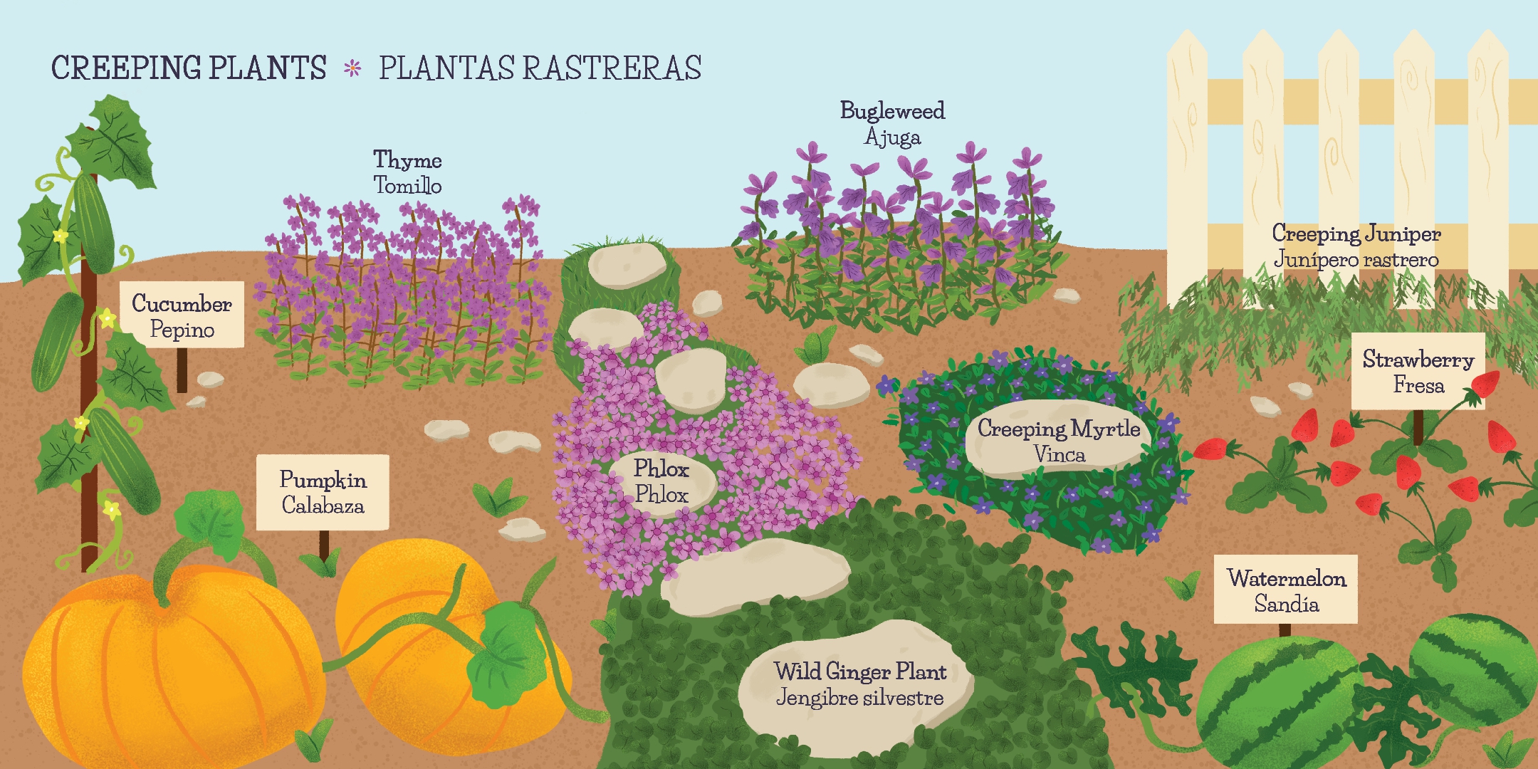 My First 100 Plantitas & Florecitas Words in English & Spanish