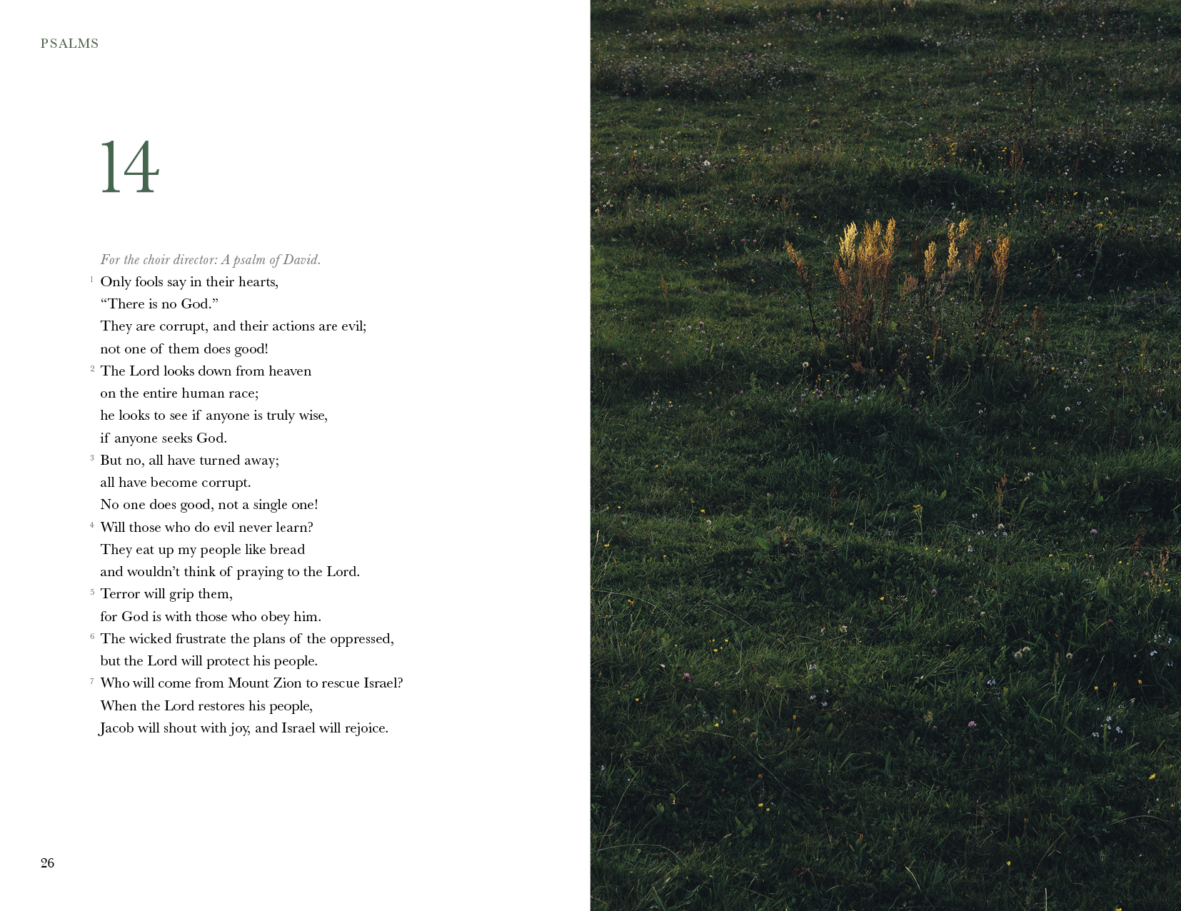 The Mini Psalms (SC)