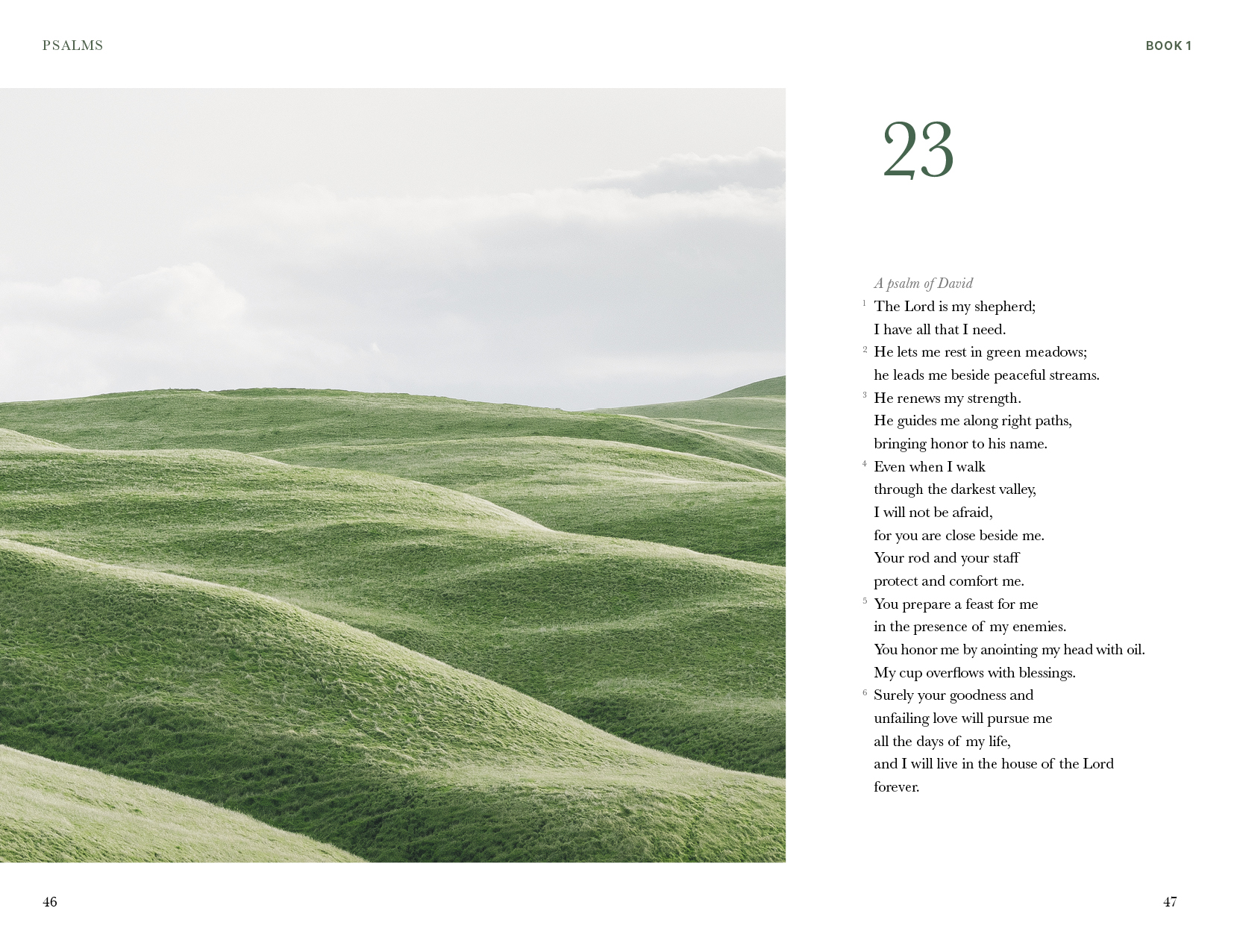 The Mini Psalms (SC)