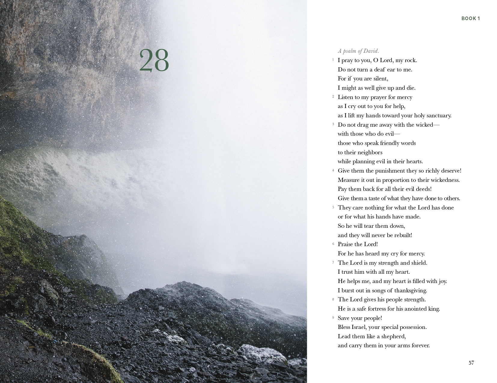 The Mini Psalms (SC)