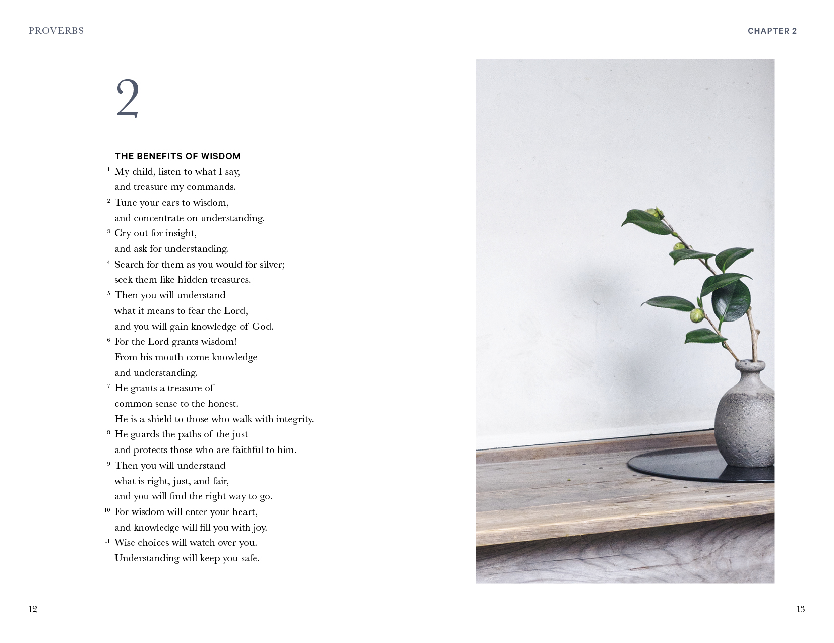 The Mini Proverbs (SC)