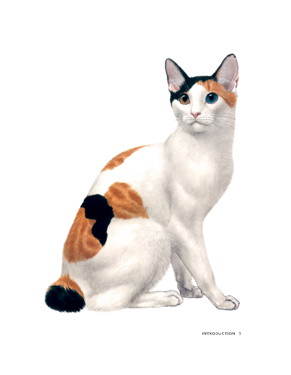 Vintage Cats