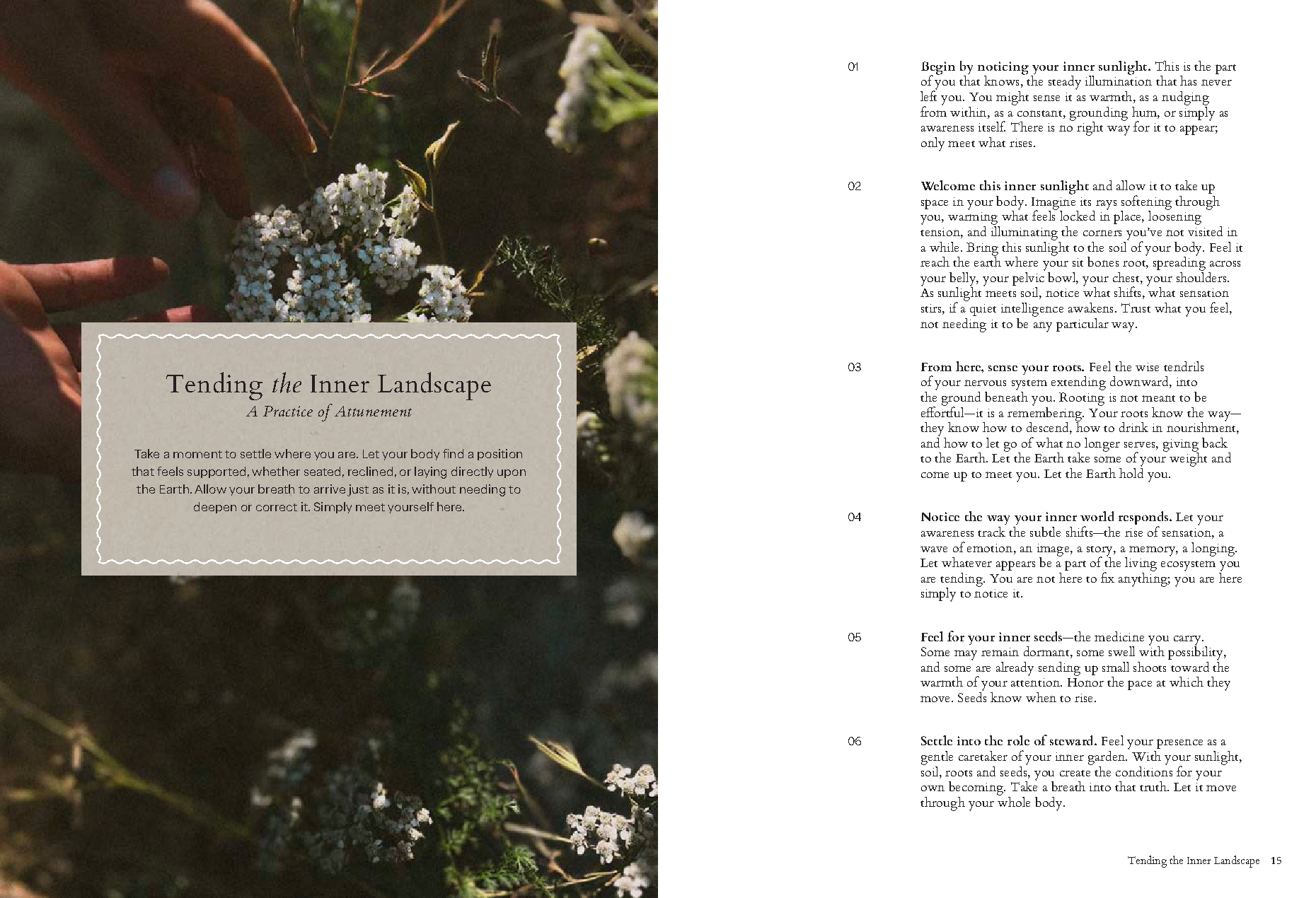 The Seasonal Herbalist