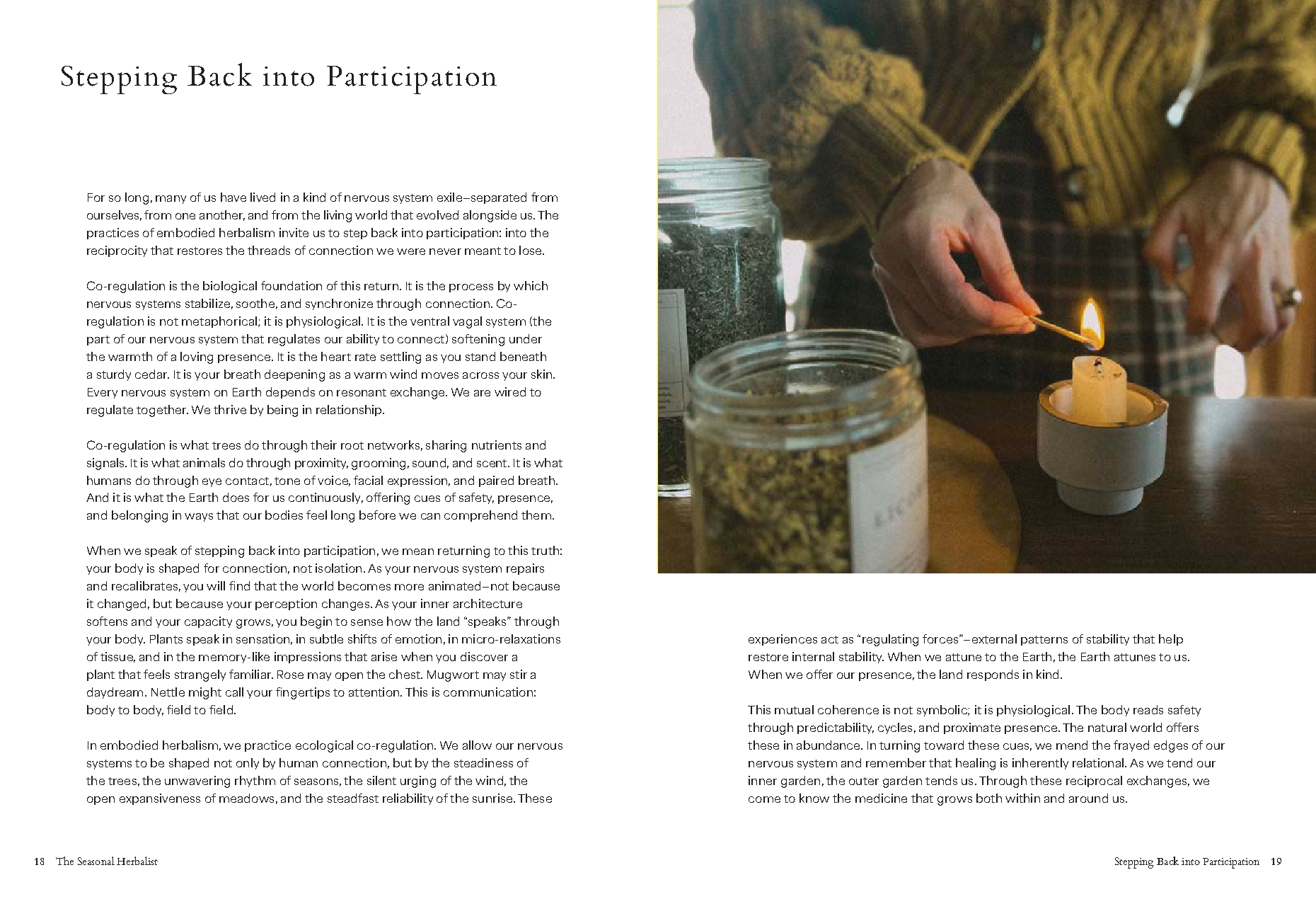 The Seasonal Herbalist