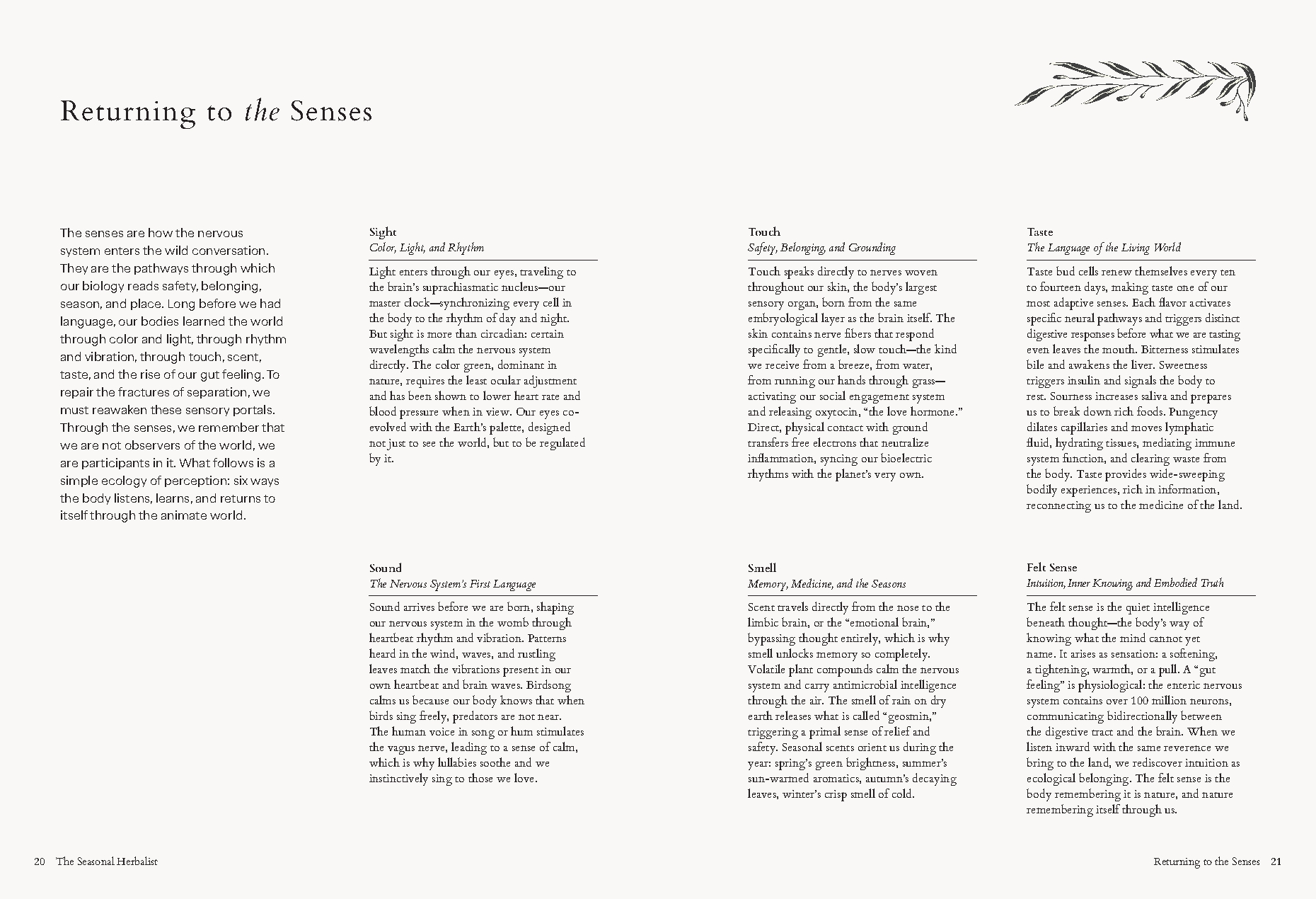 The Seasonal Herbalist