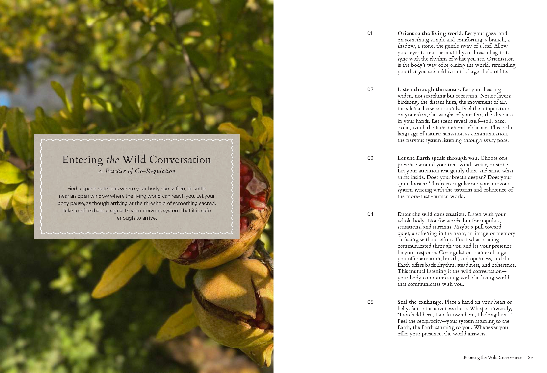 The Seasonal Herbalist