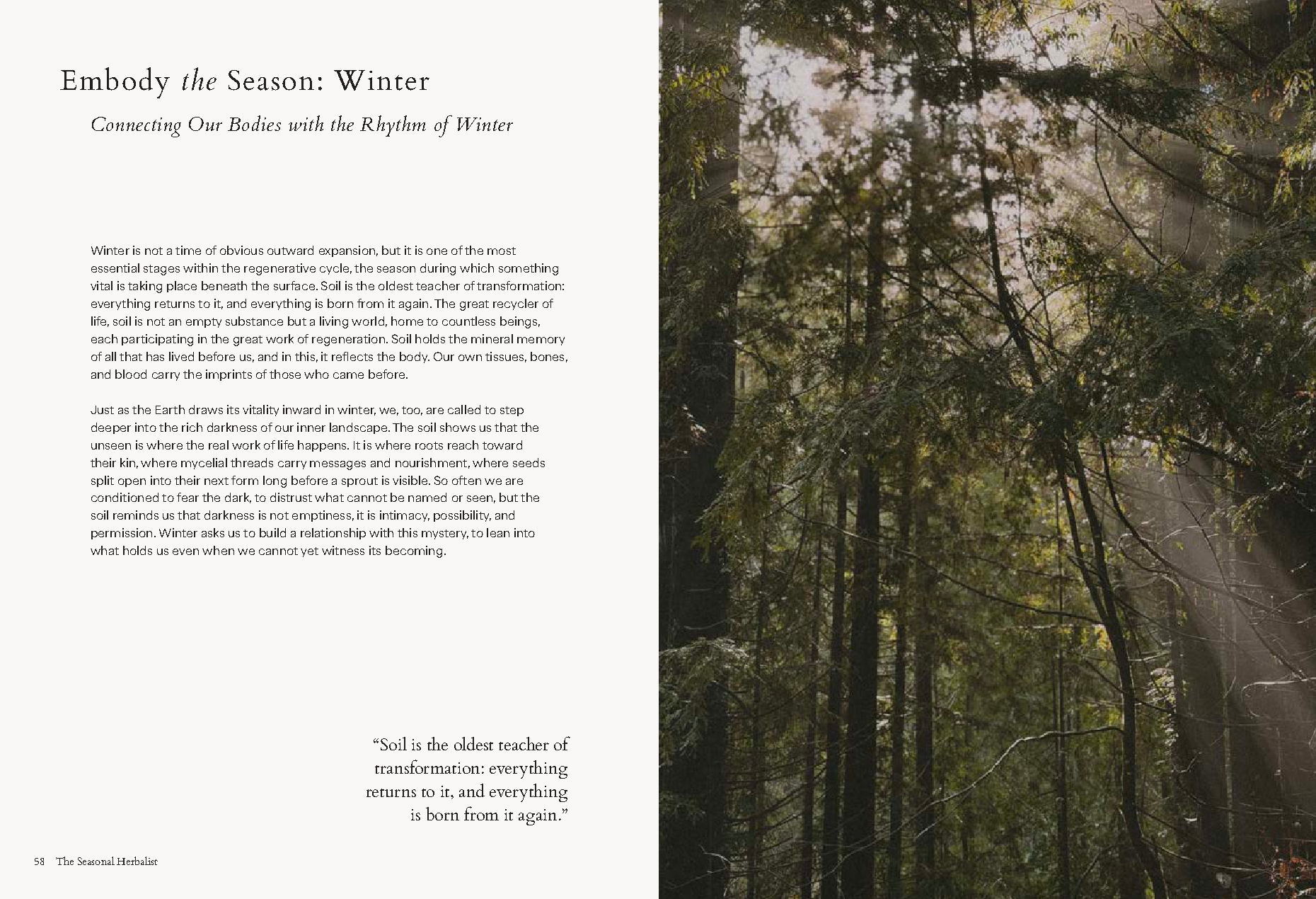 The Seasonal Herbalist