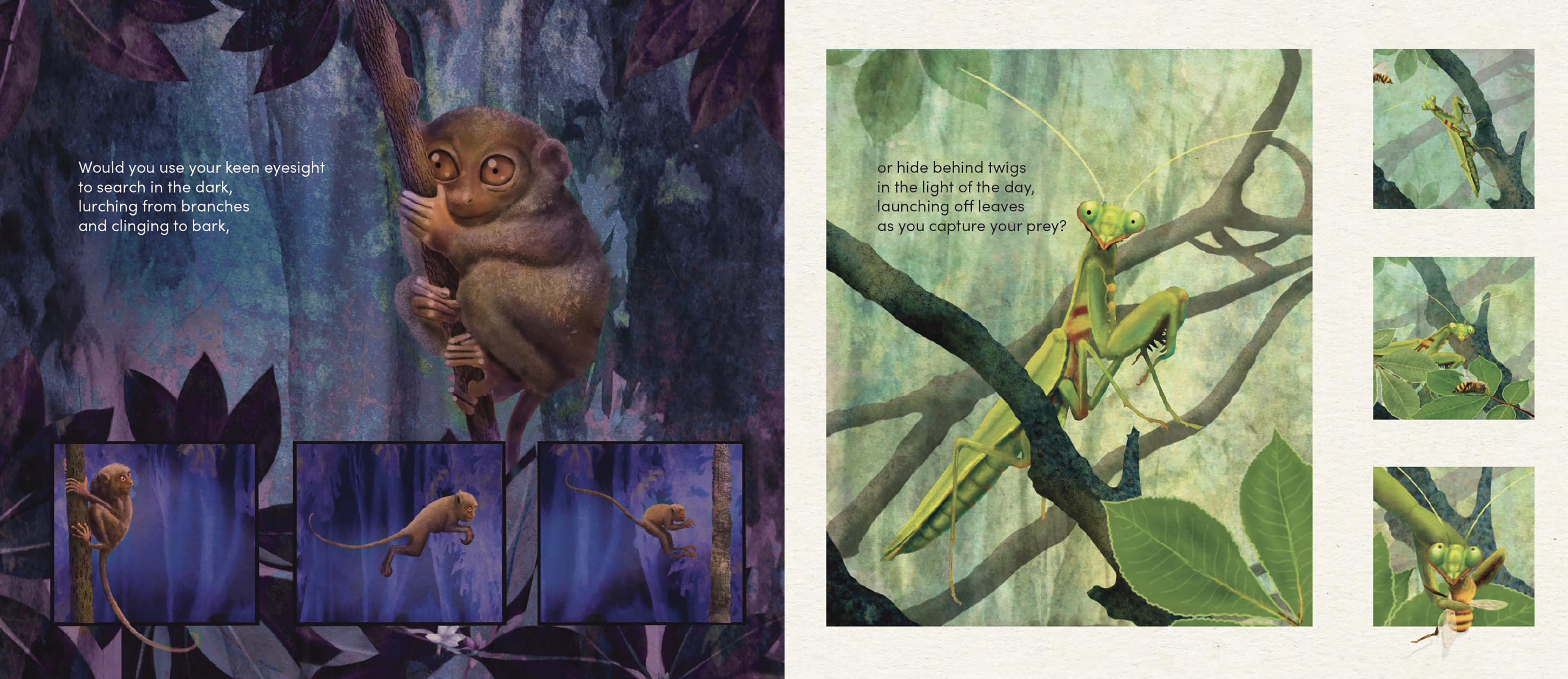 If You Lived in a Tree, What Would You See?