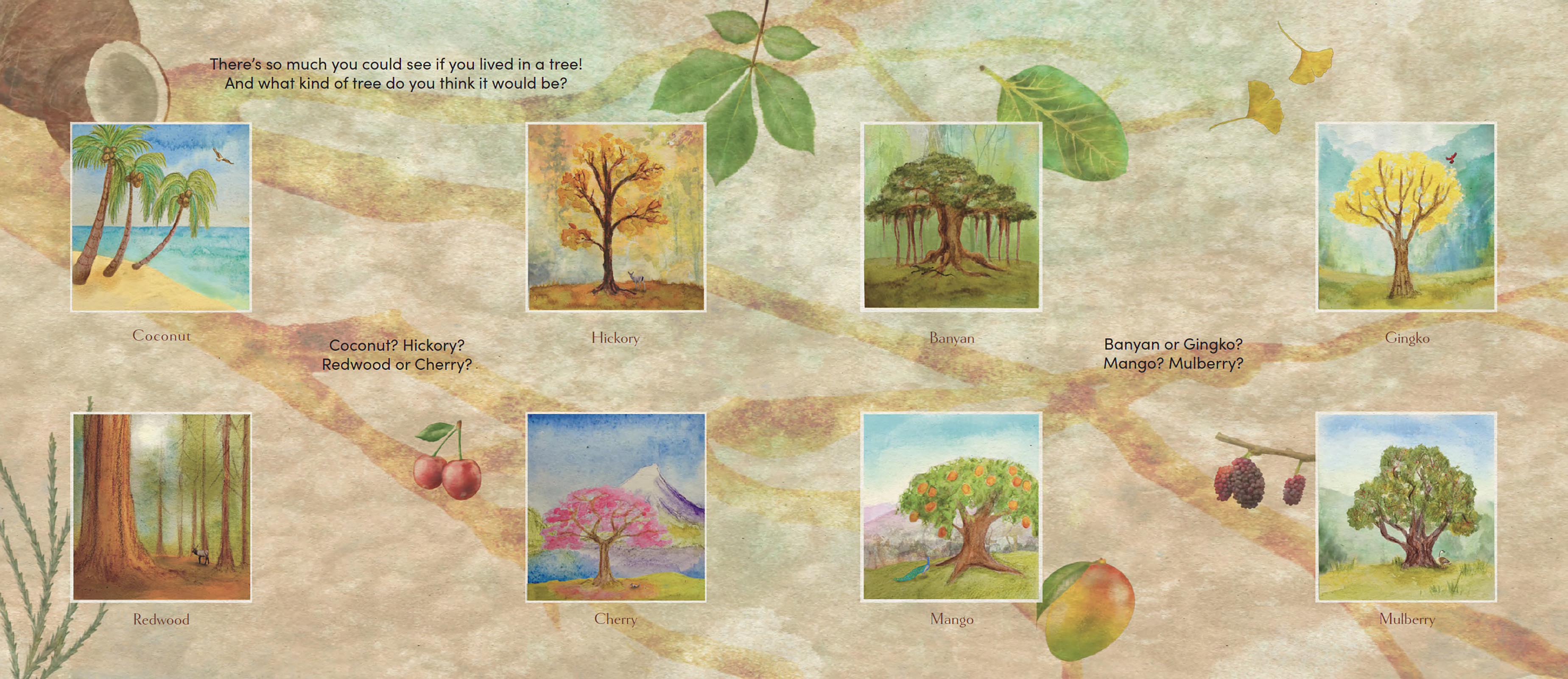 If You Lived in a Tree, What Would You See?