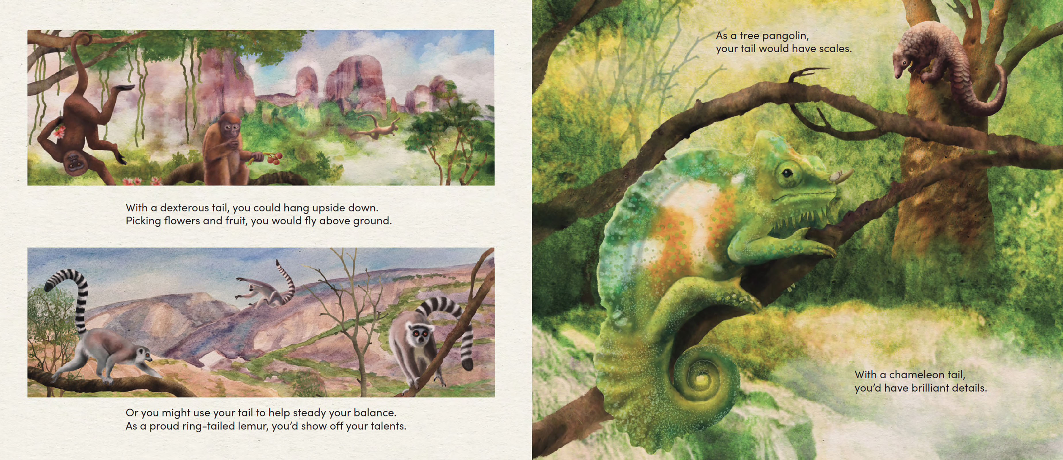 If You Lived in a Tree, What Would You See?
