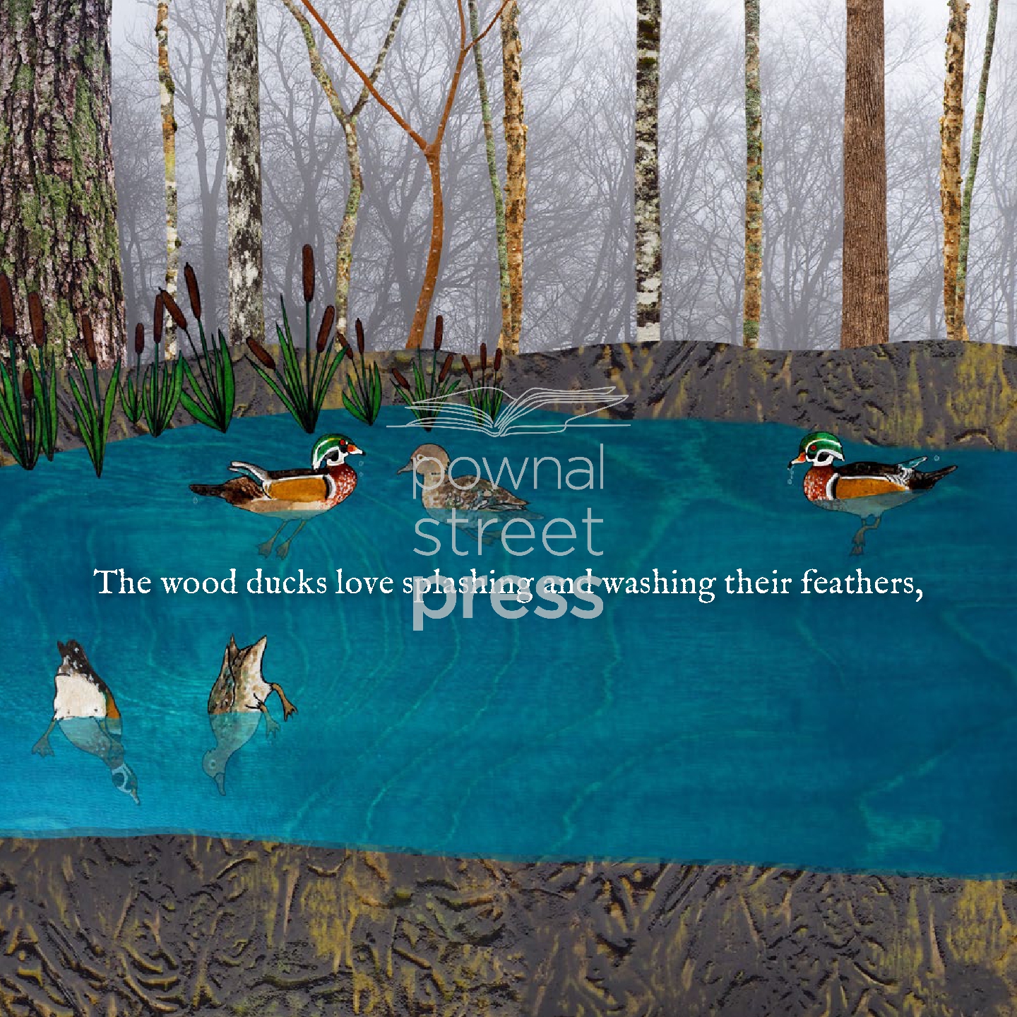 Water and Wildlife