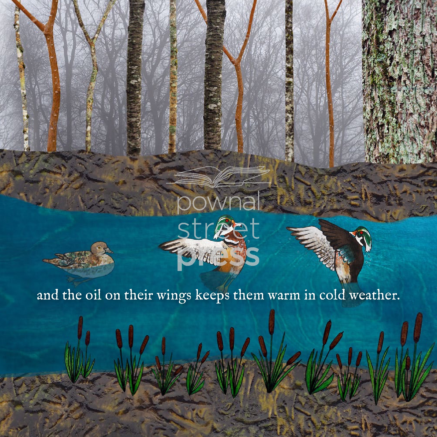 Water and Wildlife
