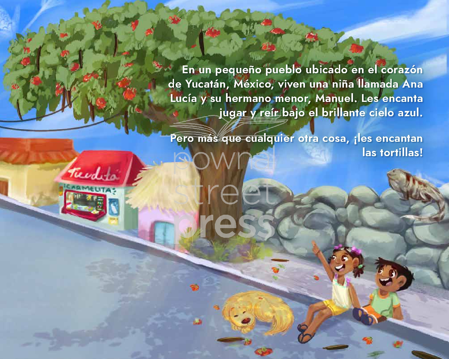 Maíz y tortillas