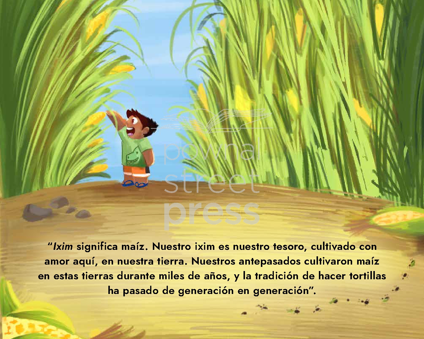 Maíz y tortillas