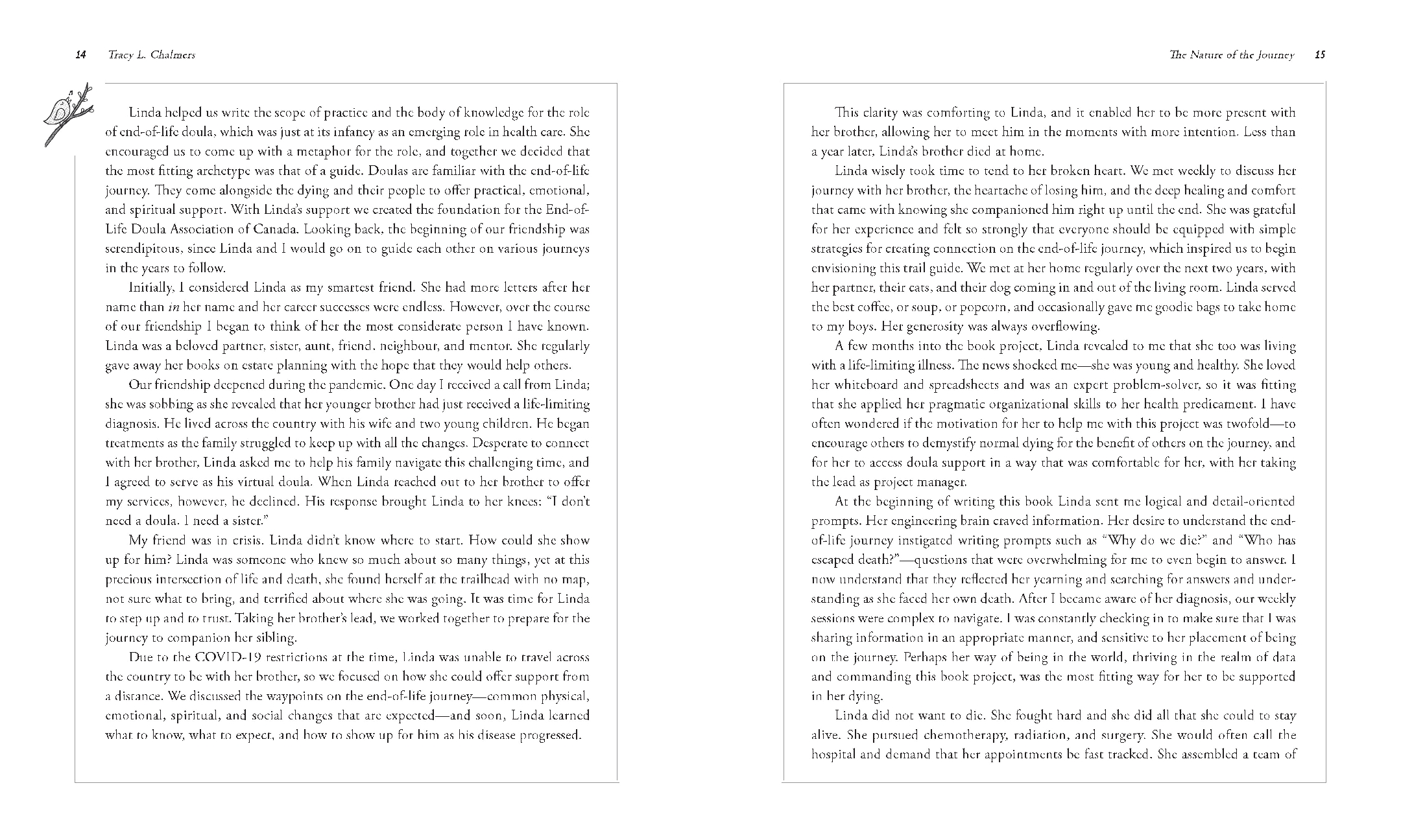 The Nature of the Journey