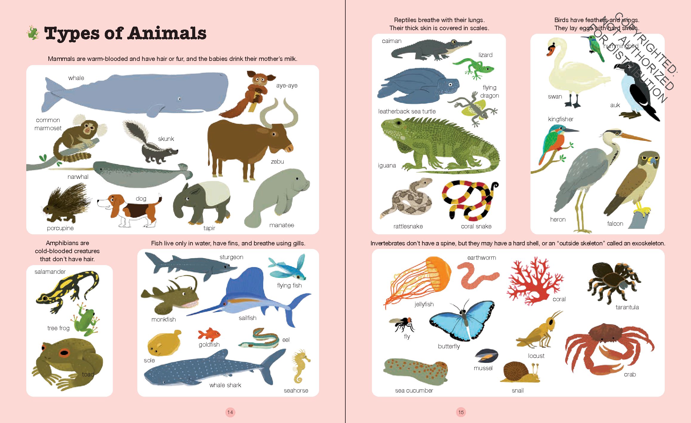 Do You Know?: Animals of Land, Sea, and Air