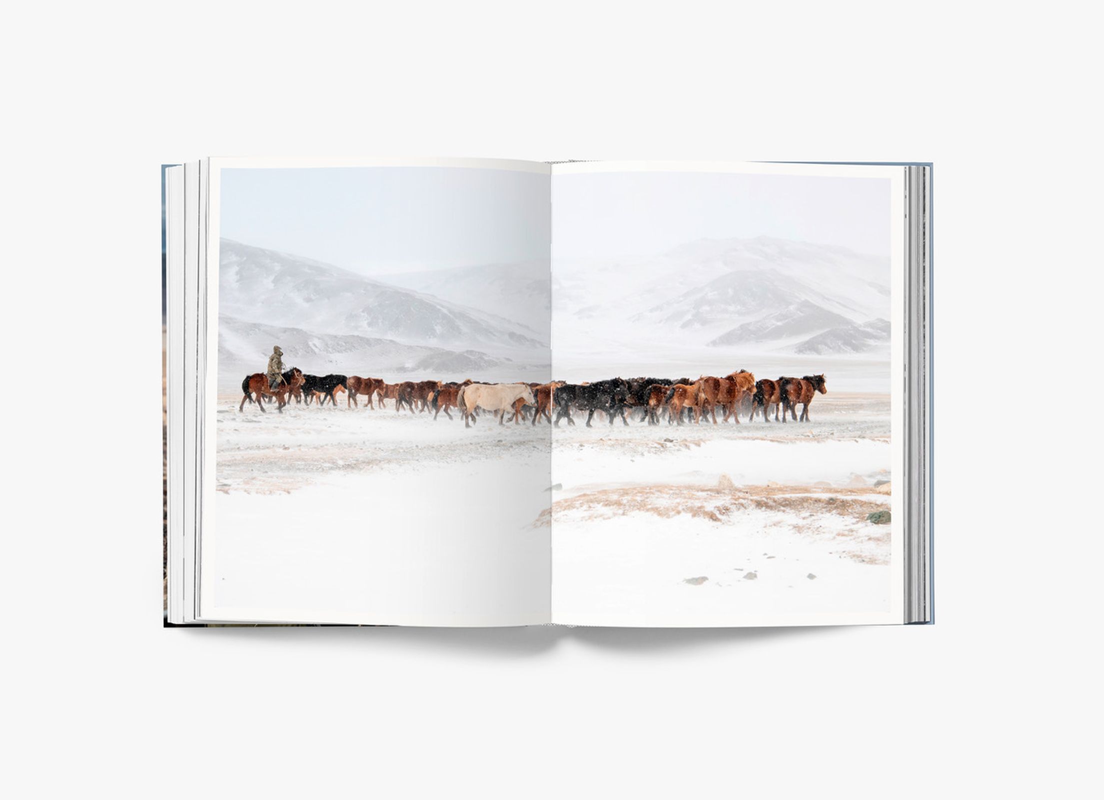 Altai: Hunters and Herders of Mongolia