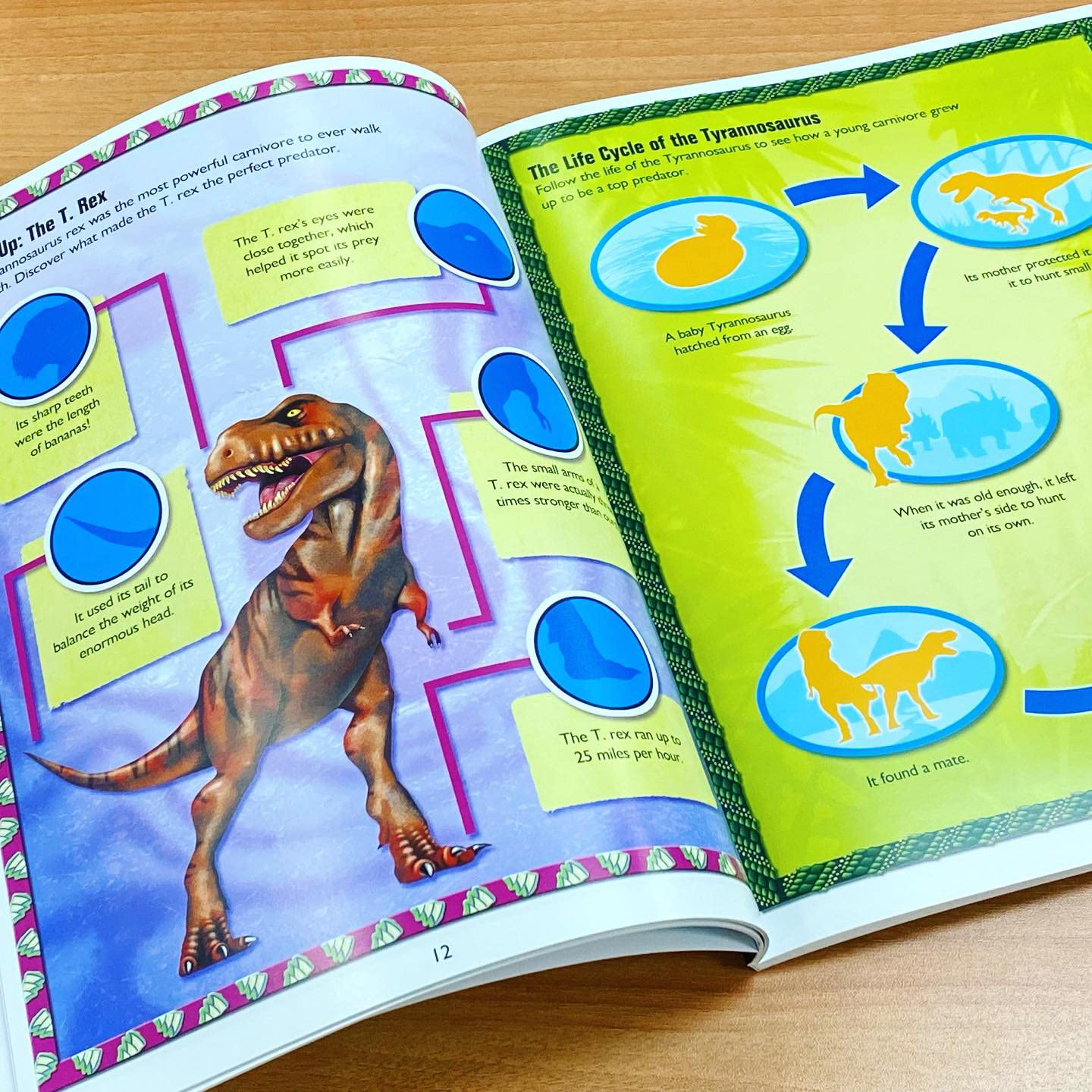 DINOSAURS STICKER BOOK TREASURY