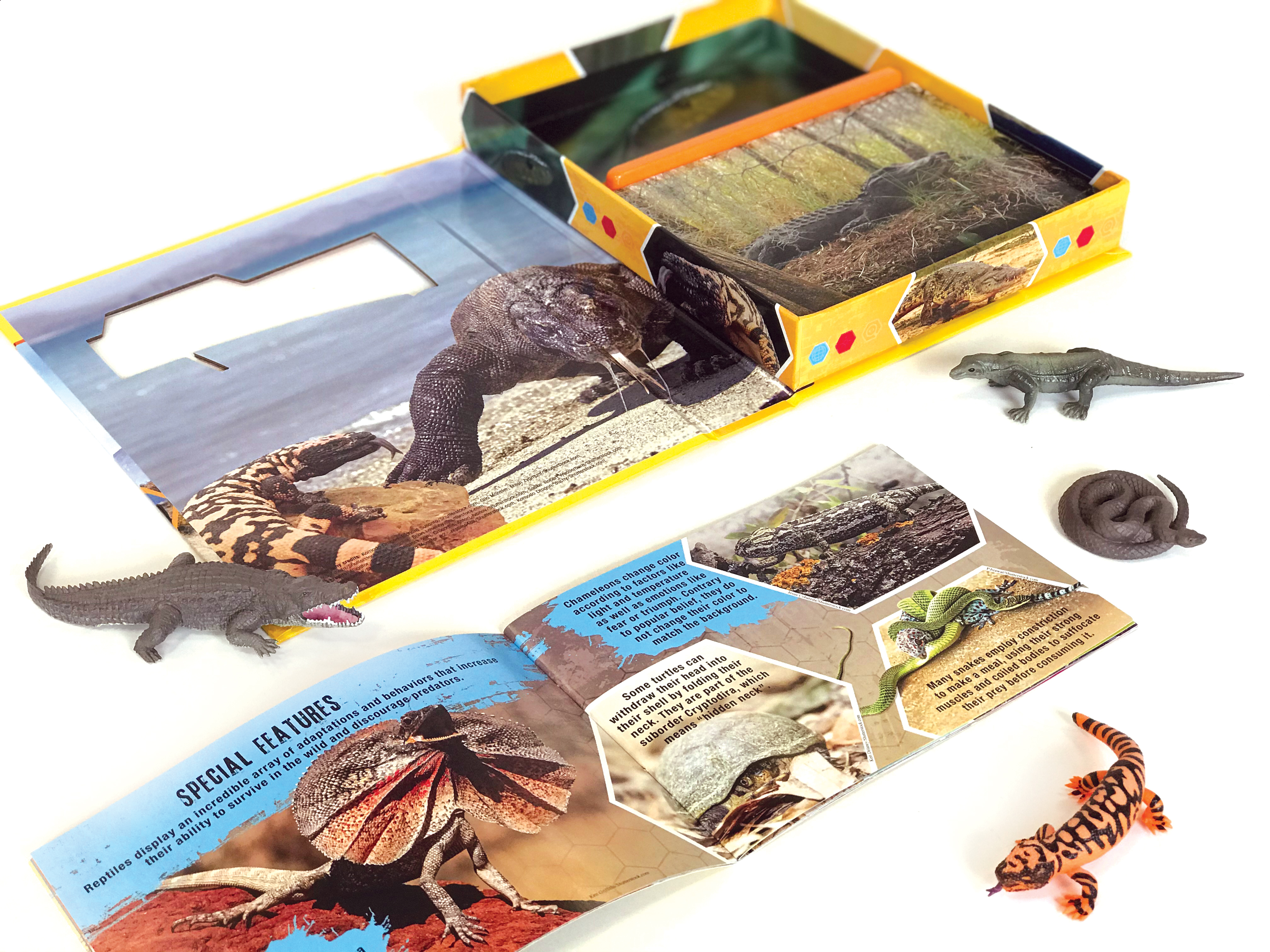 REPTILES POCKET EXPLORERS