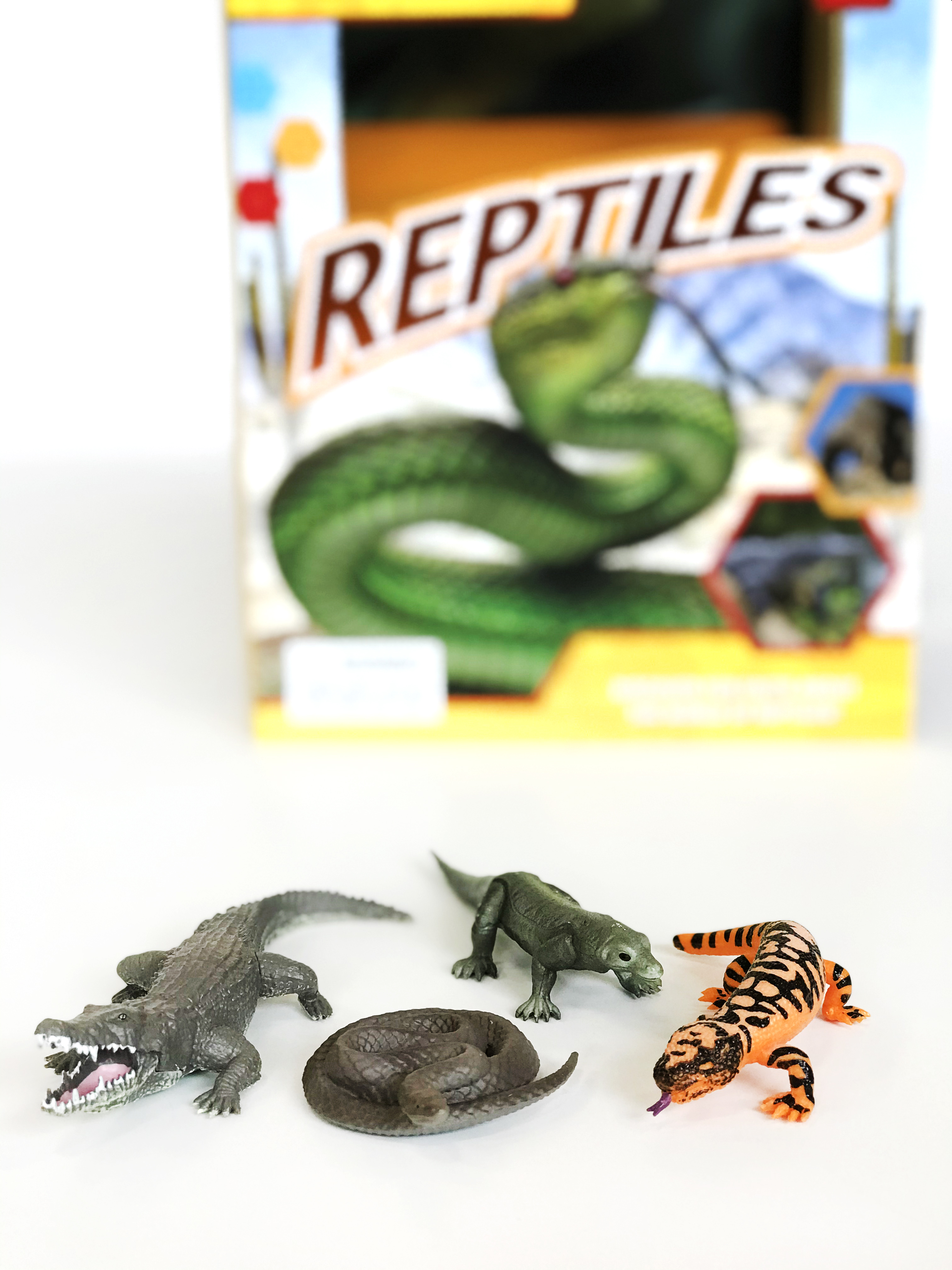 REPTILES POCKET EXPLORERS