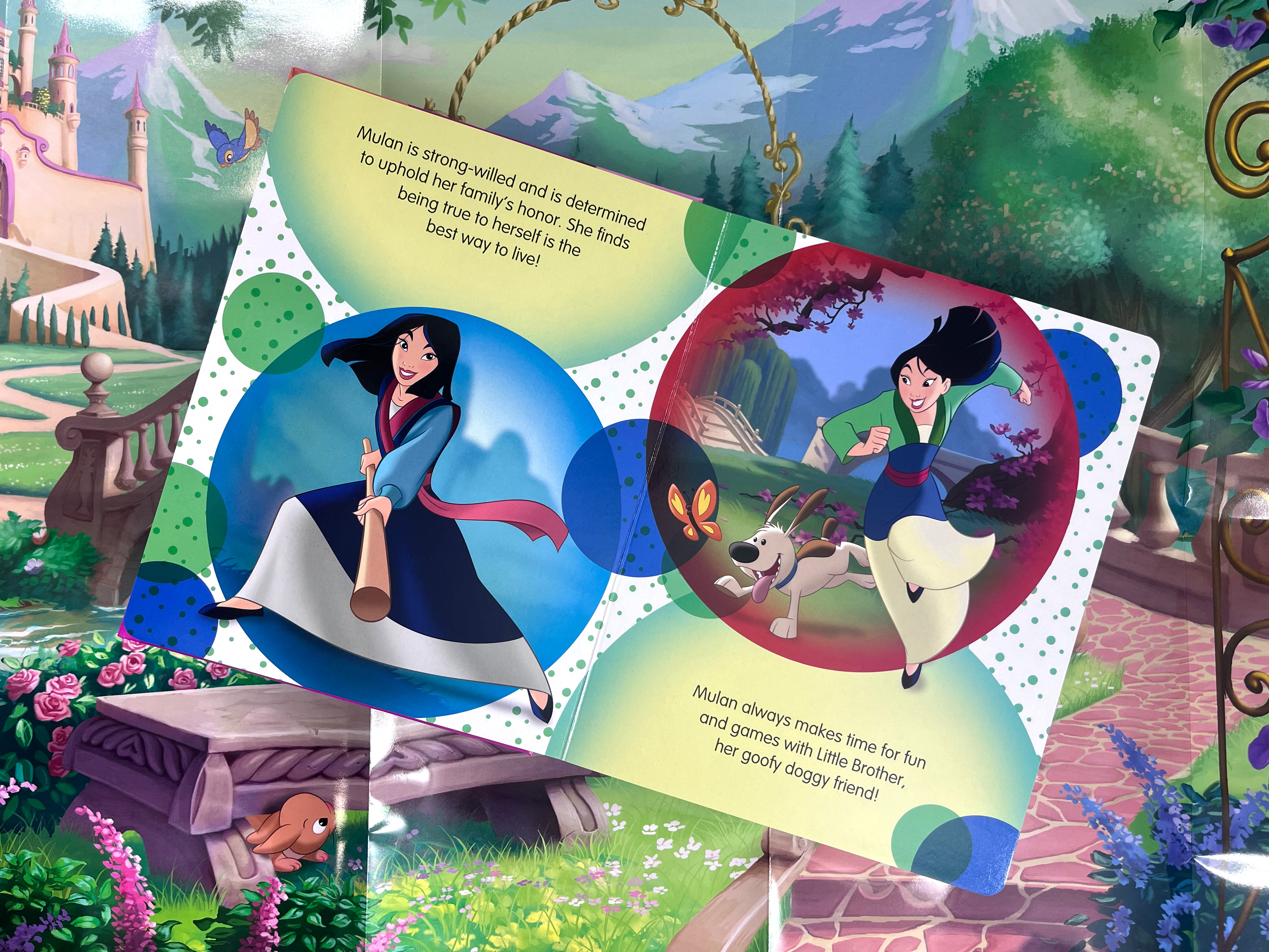 Raincoast Group: DISNEY PRINCESS 2025 MY BUSY BOOKS