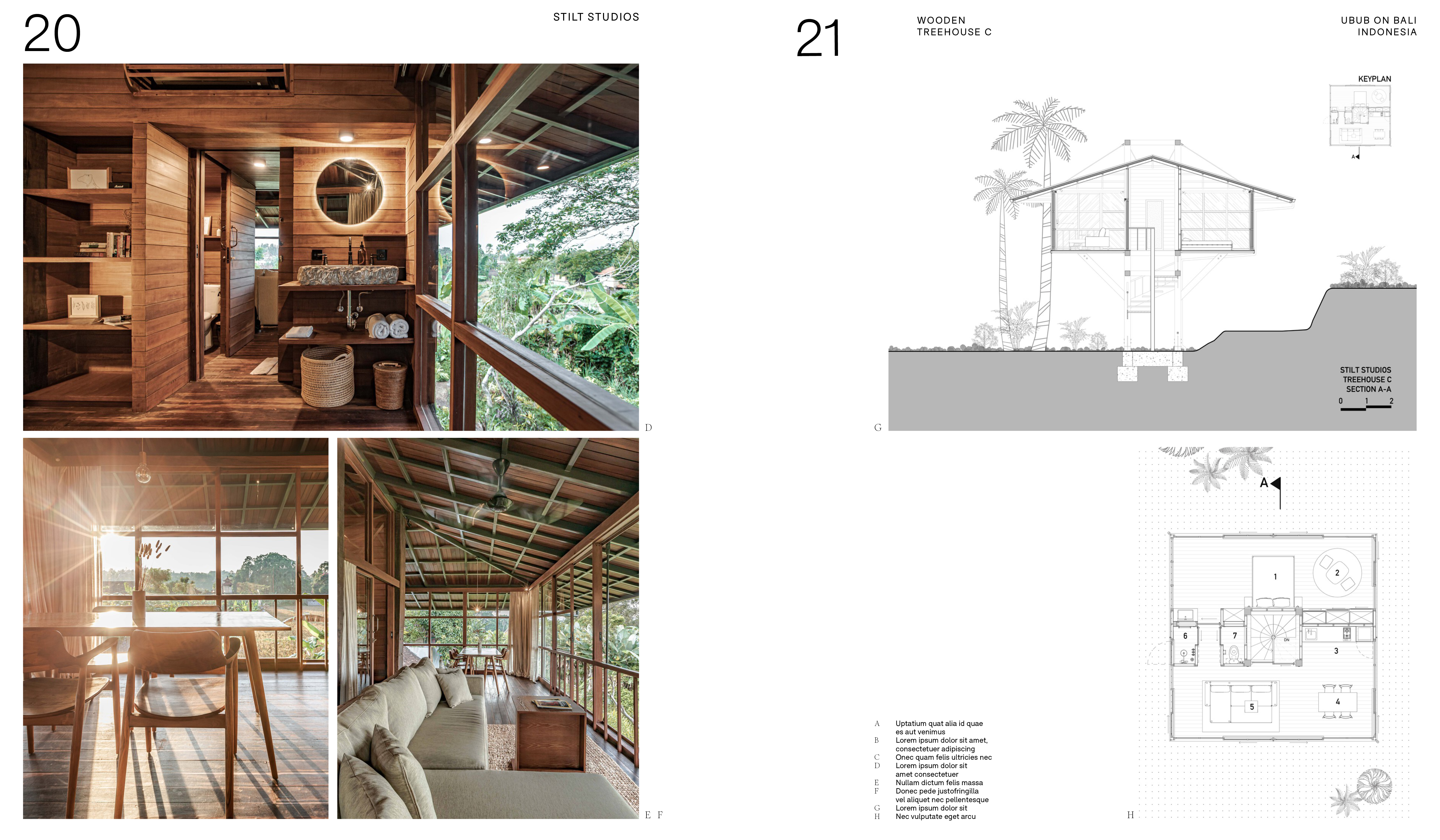 Inside Tropical Homes