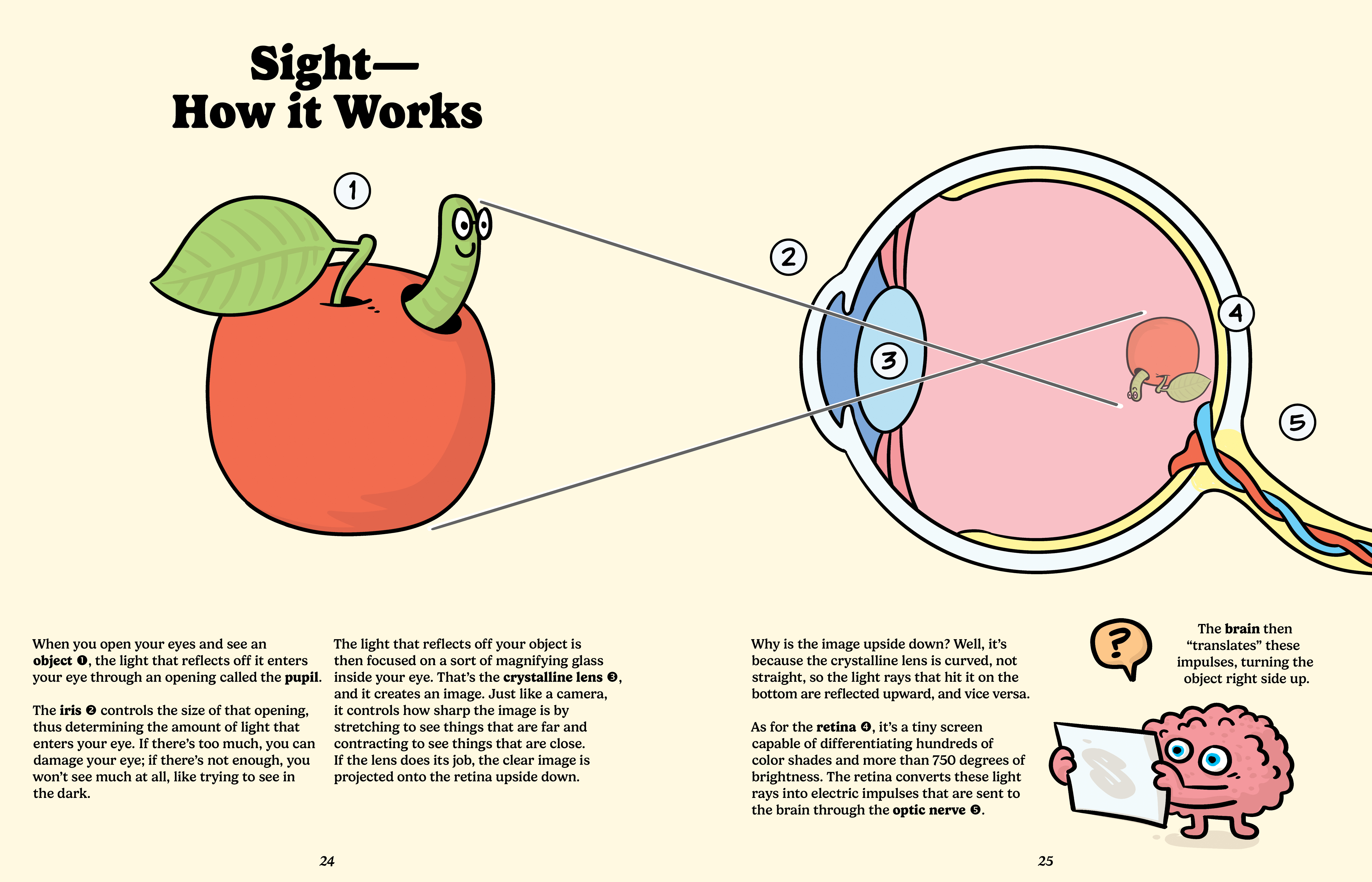 Extraordinary Eyeglasses