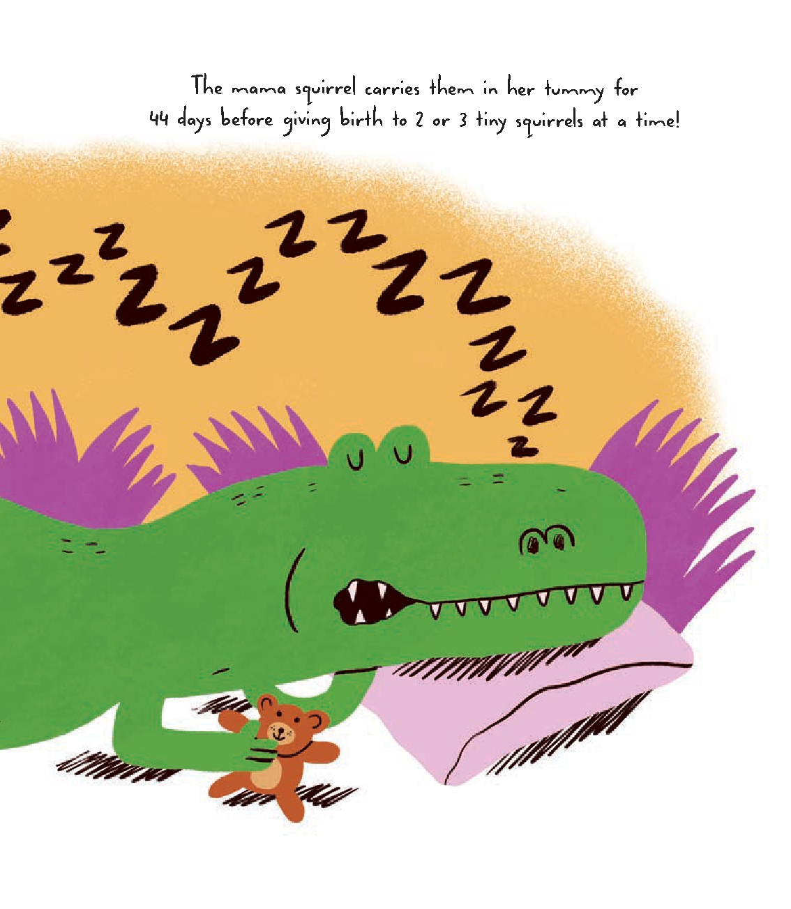 Squirrels! This is Not a Book about Dinosaurs