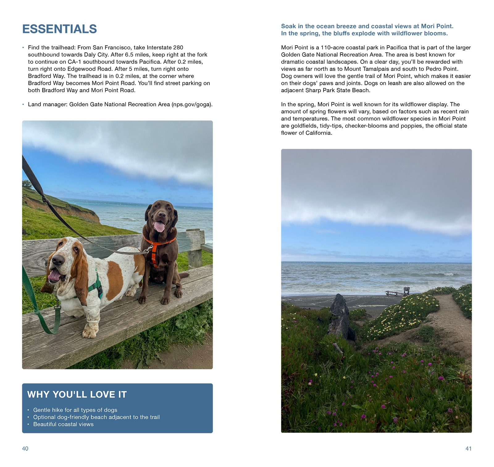Dog Hiking Northern California