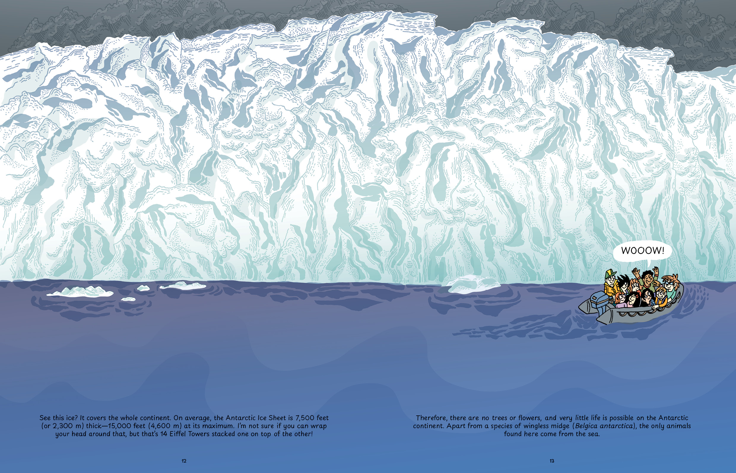 Destination Antarctica