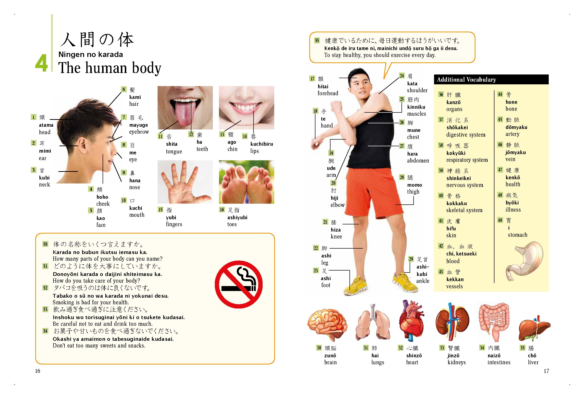 Japanese Picture Dictionary