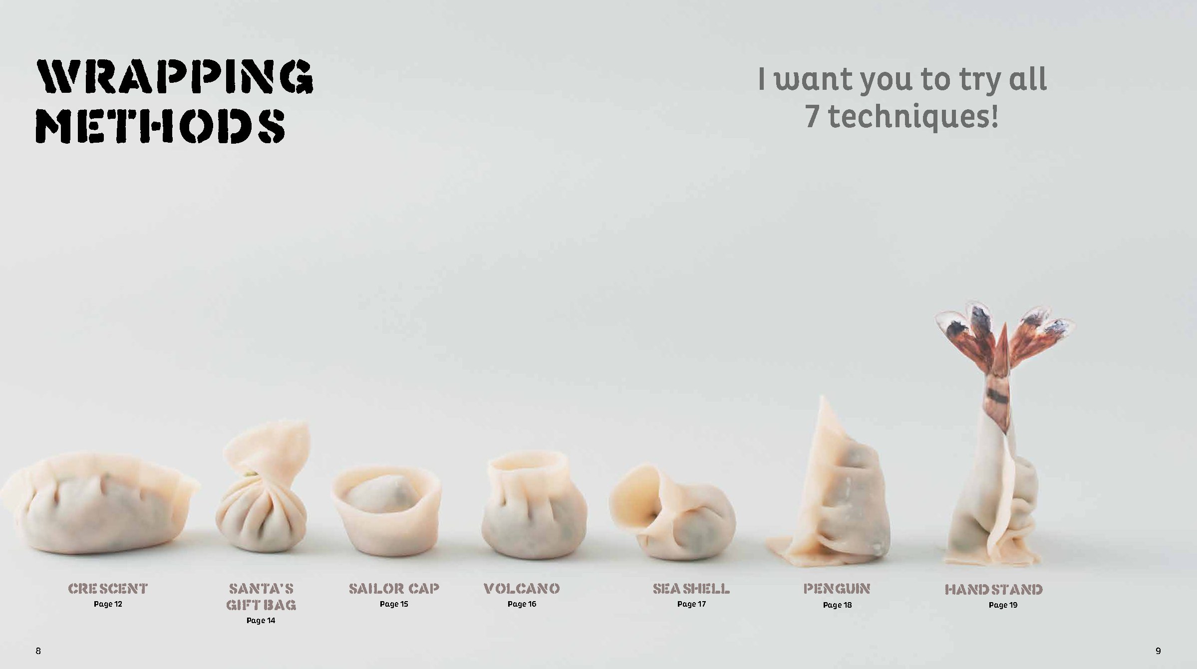 Gyoza: The Ultimate Dumpling Cookbook