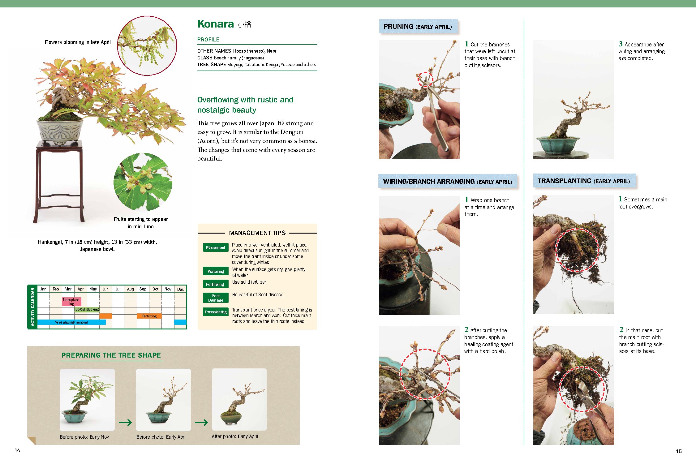 The Ultimate Bonsai Handbook