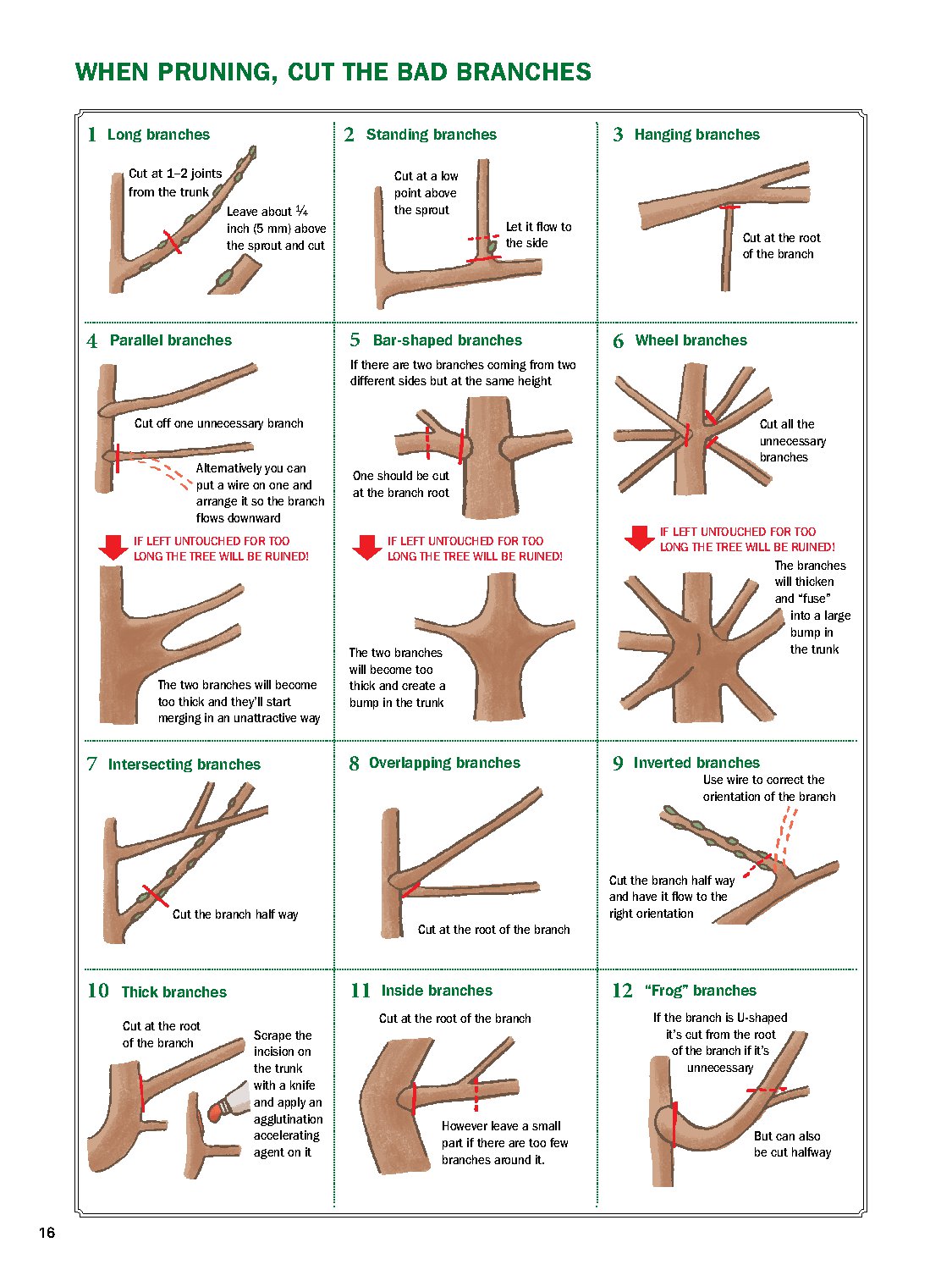 The Ultimate Bonsai Handbook