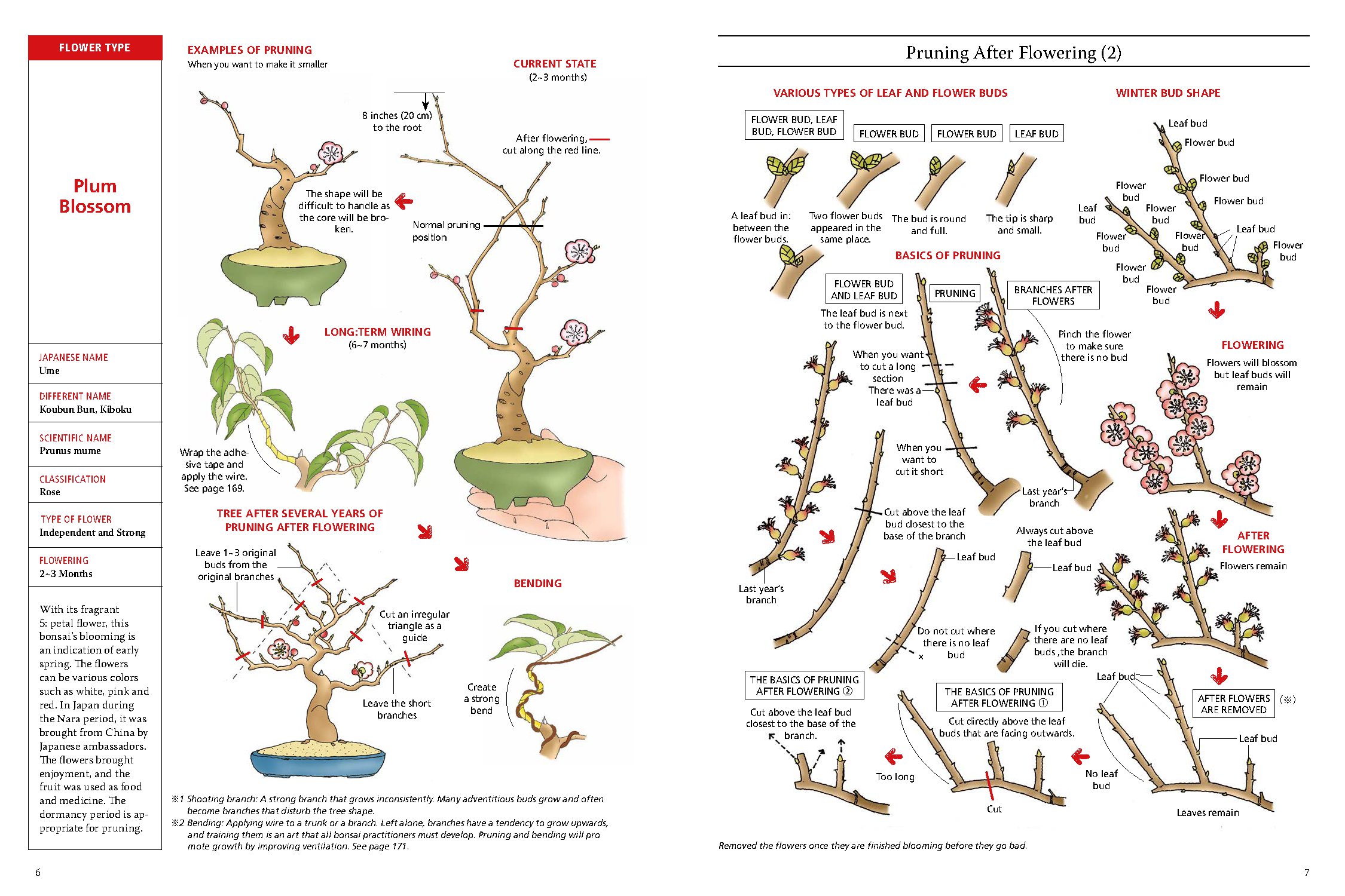 Introduction to Bonsai