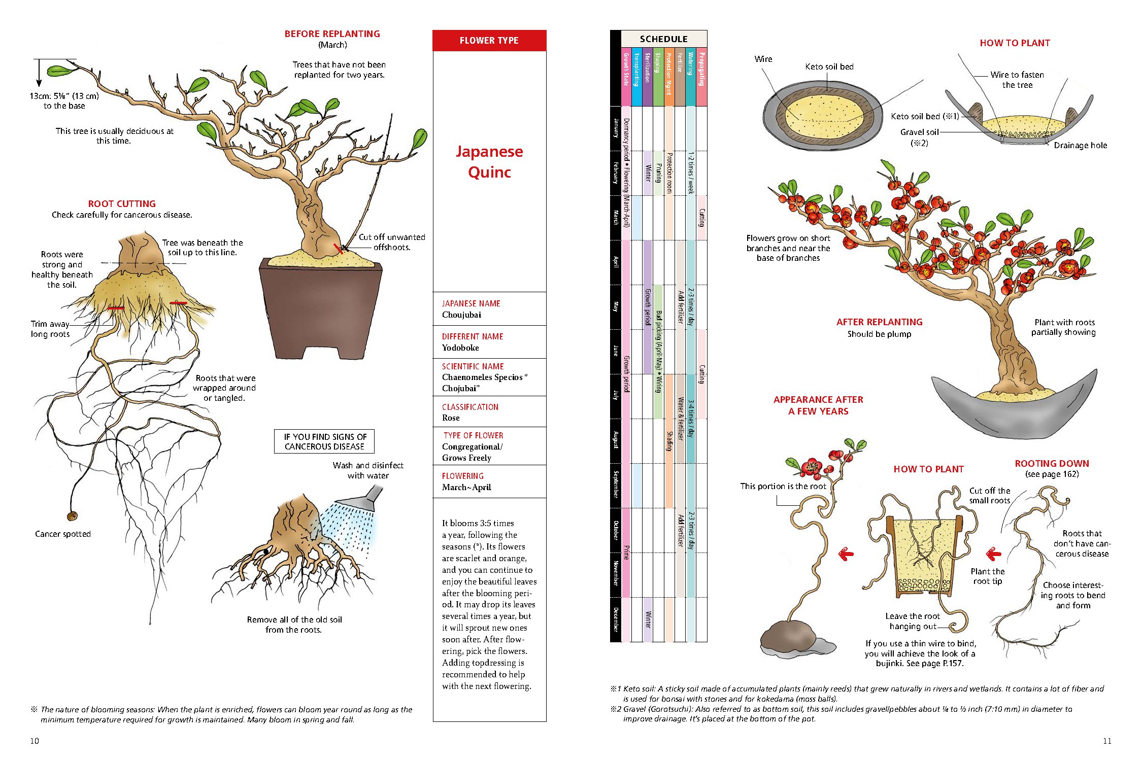 Introduction to Bonsai