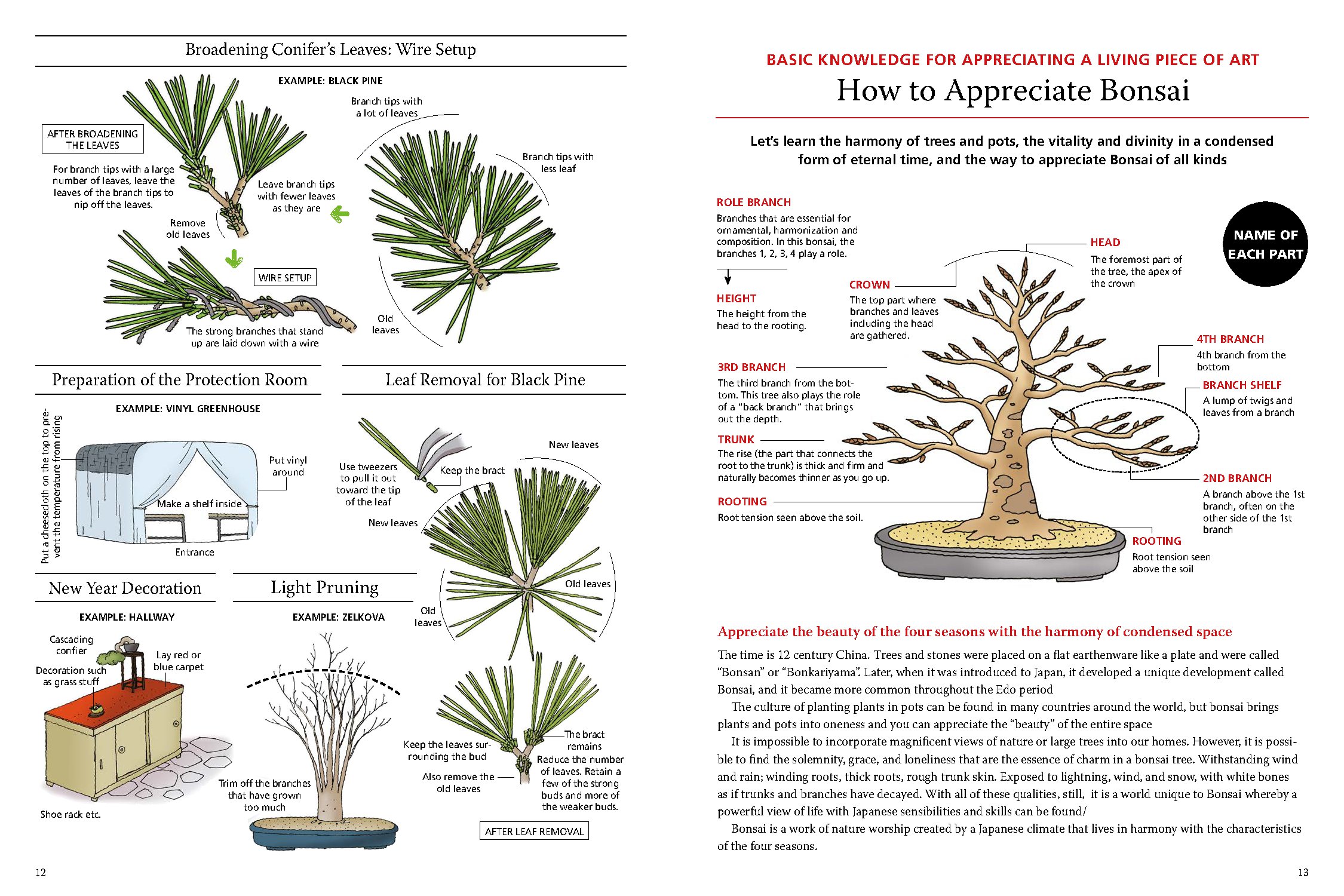 Introduction to Bonsai