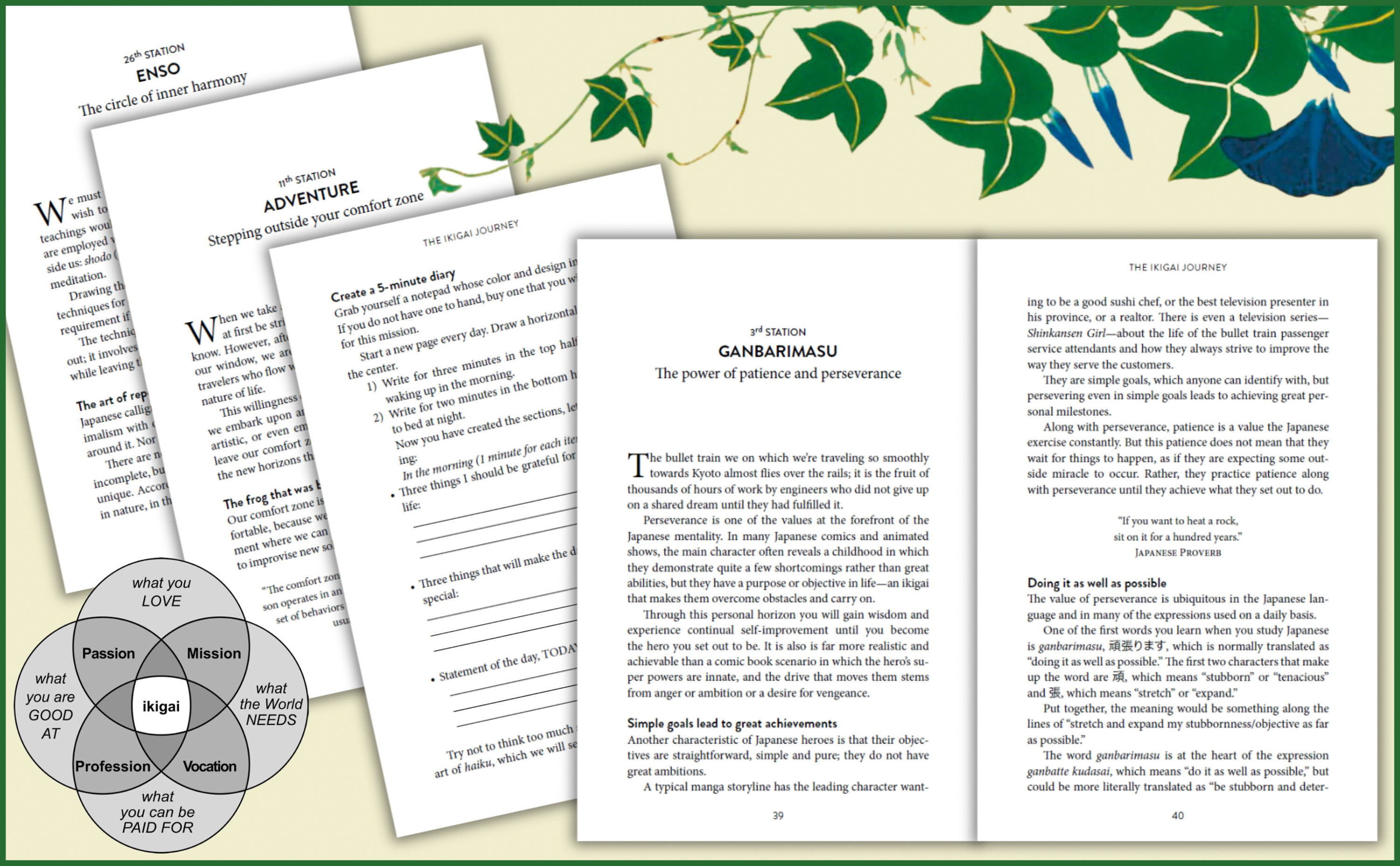 The Ikigai Journey
