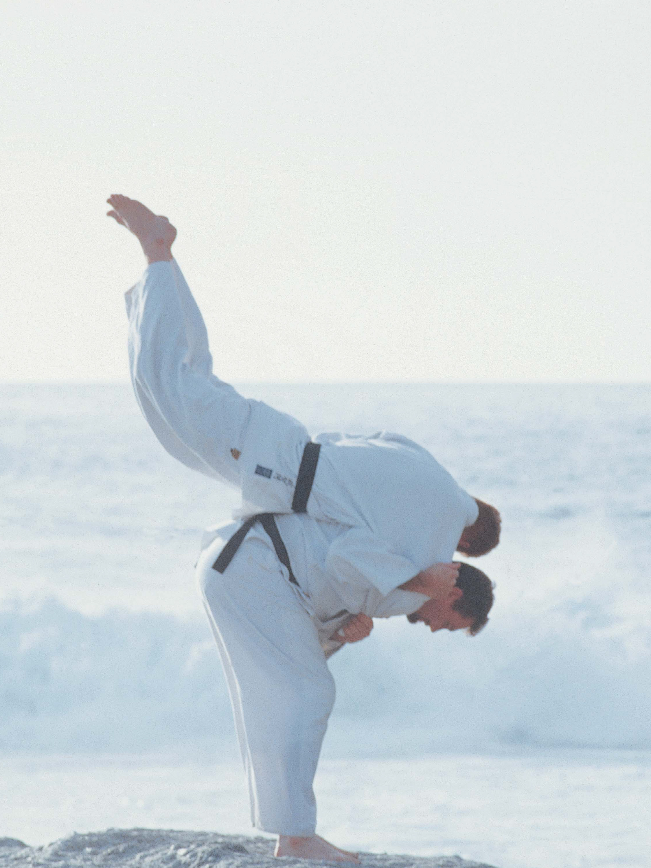 Judo Unleashed!