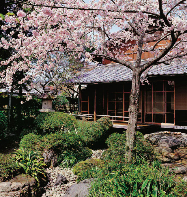 Japanese Gardens