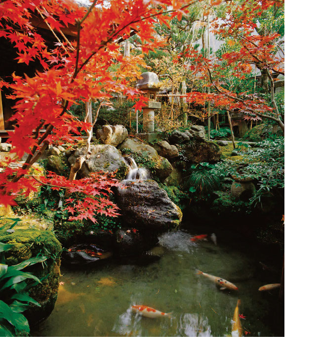 Japanese Gardens