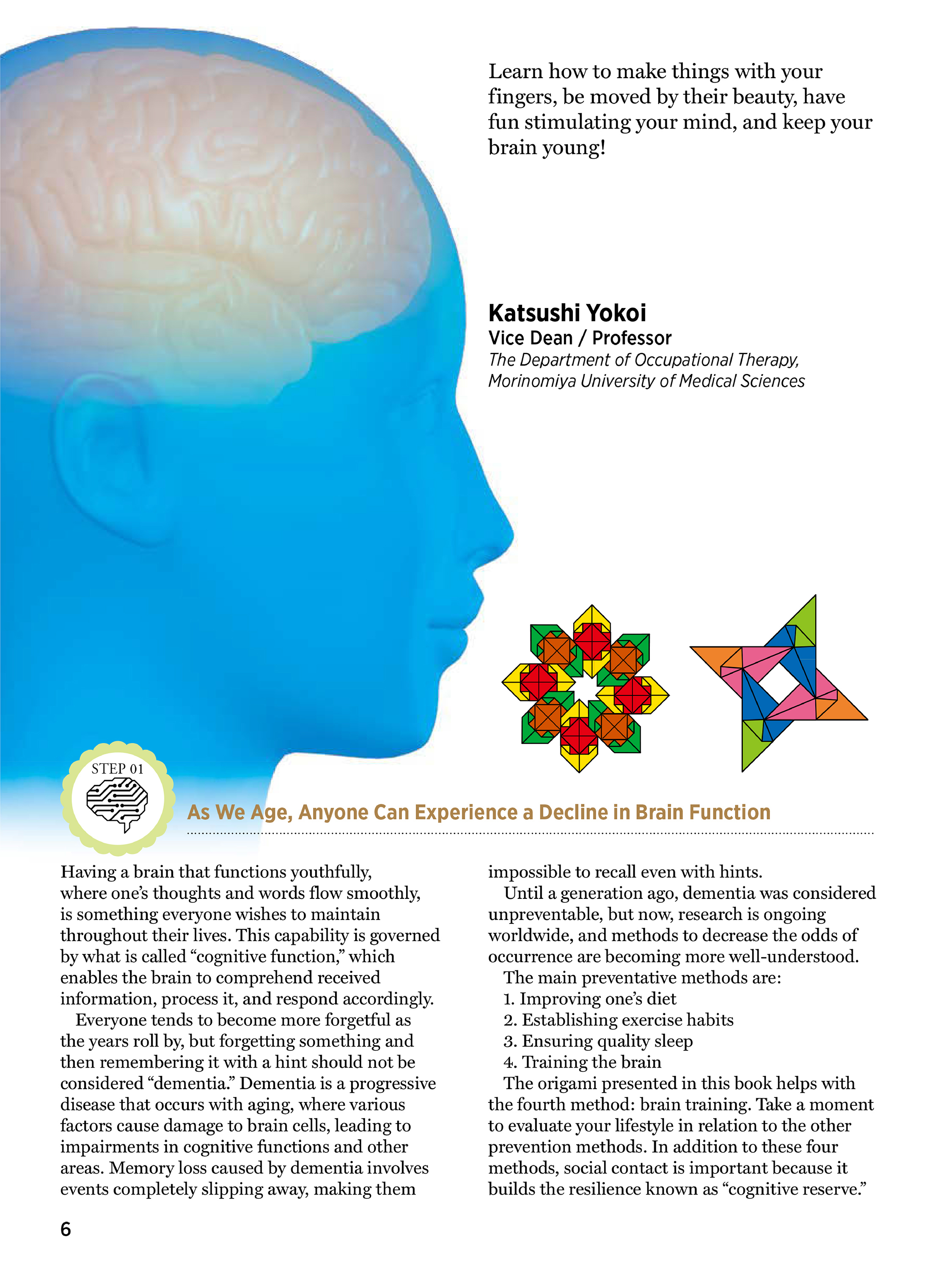 Healthy Brain Origami