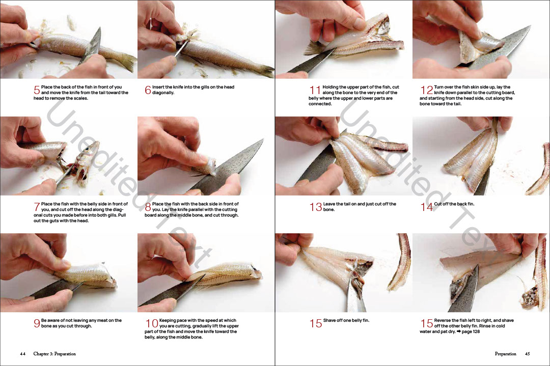 The Art and Science of Tempura