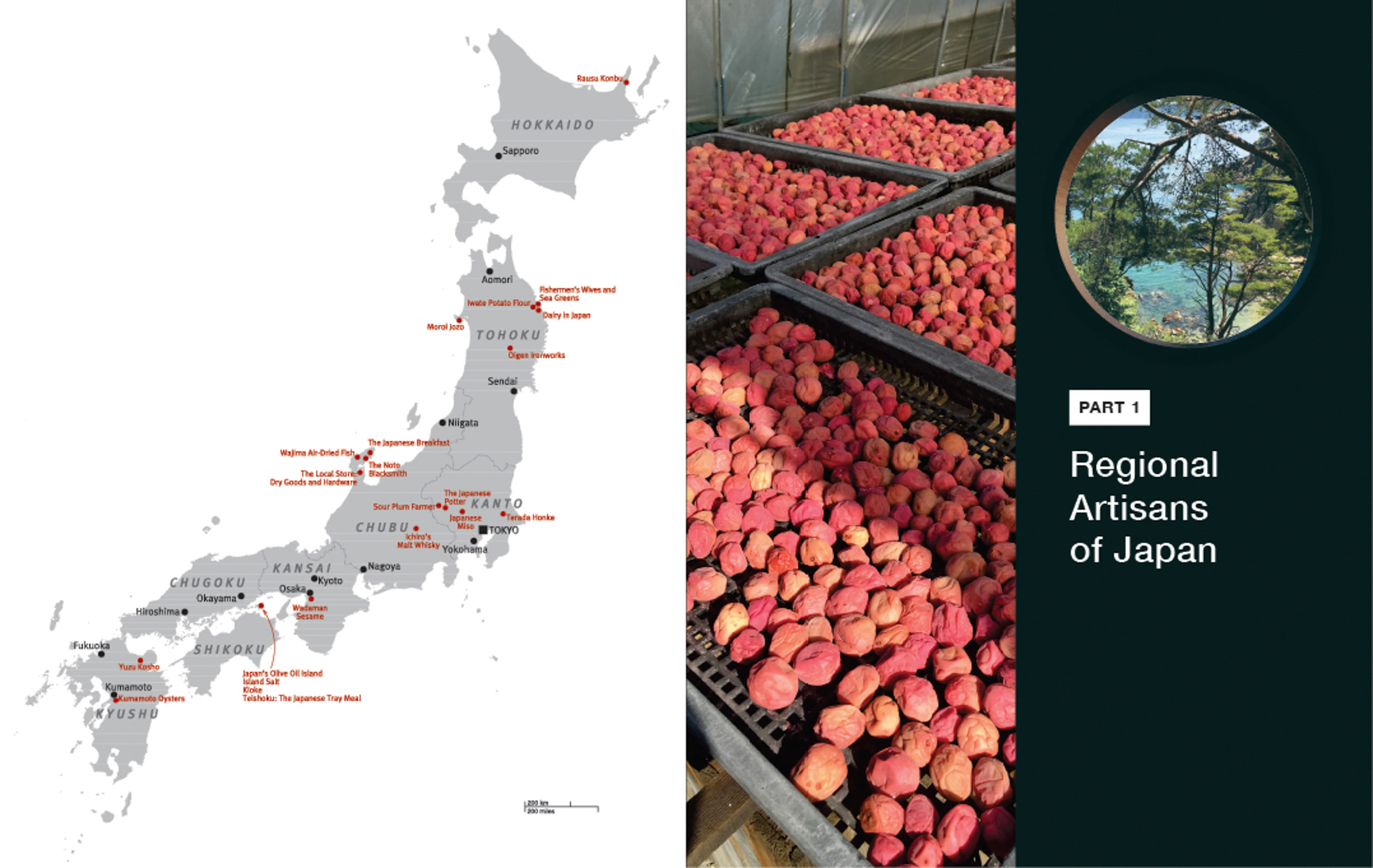 The Art and Craft of Japanese Cooking
