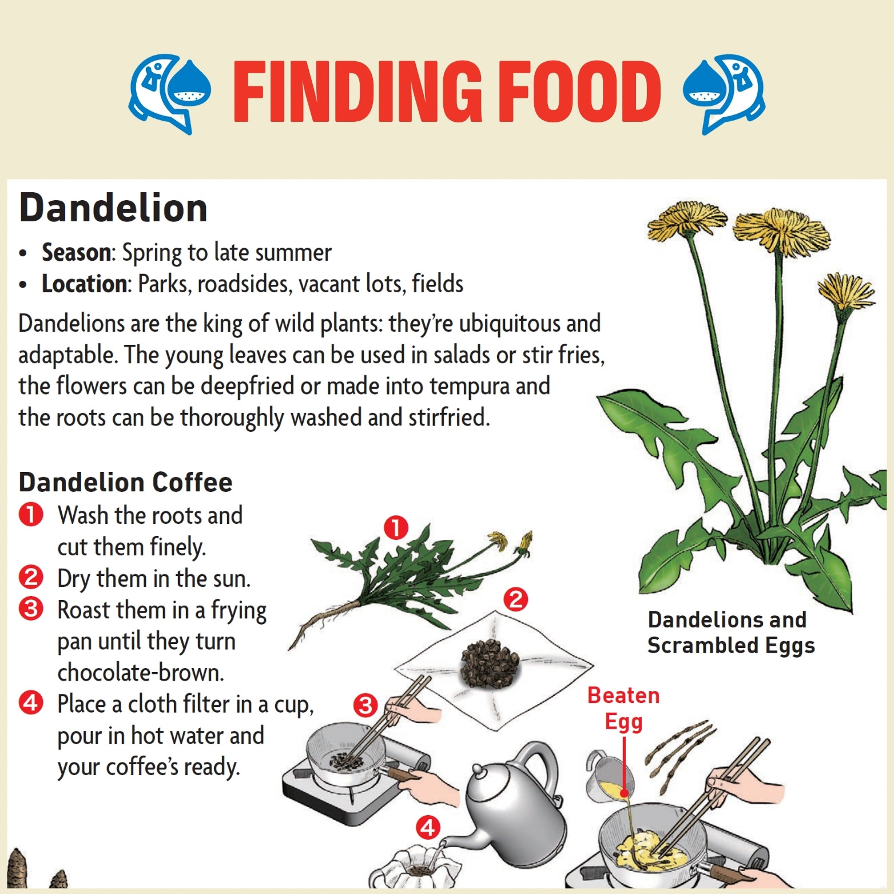 The Ultimate Wilderness Survival Guide