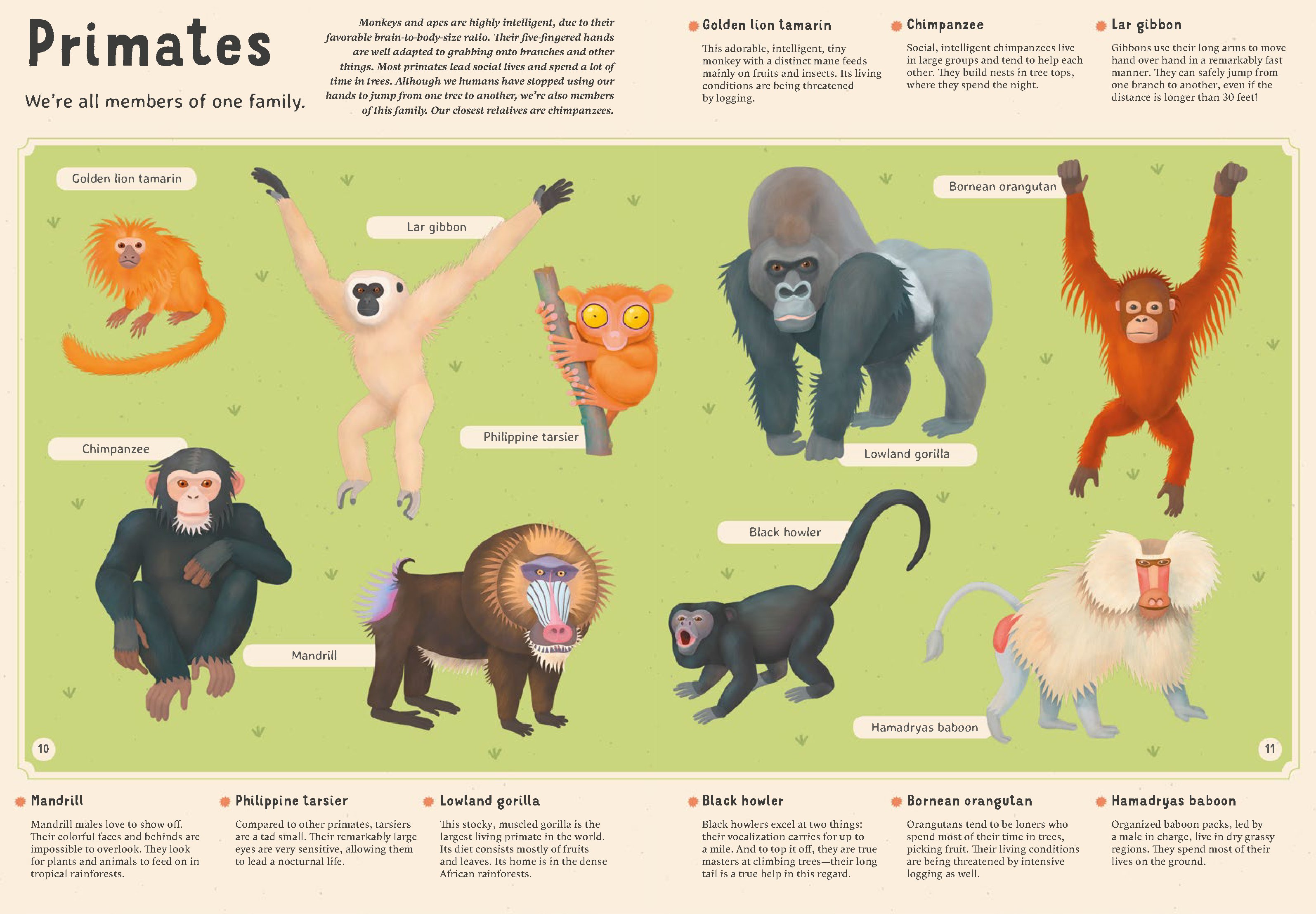 Encyclopedia of Animals for Young Readers