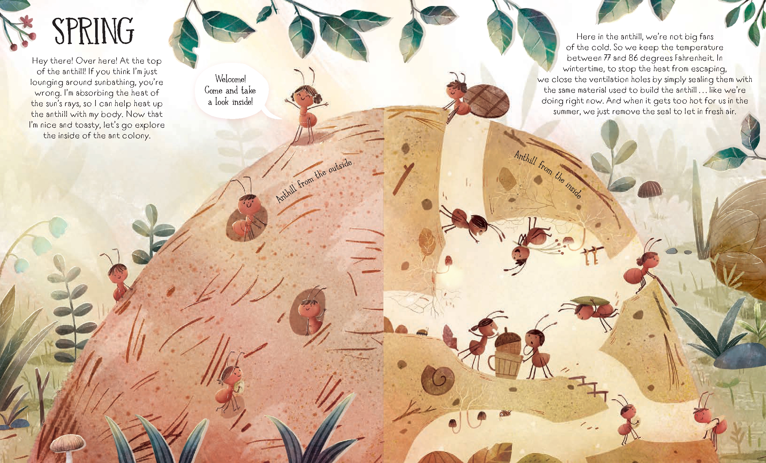 Welcome to the Anthill