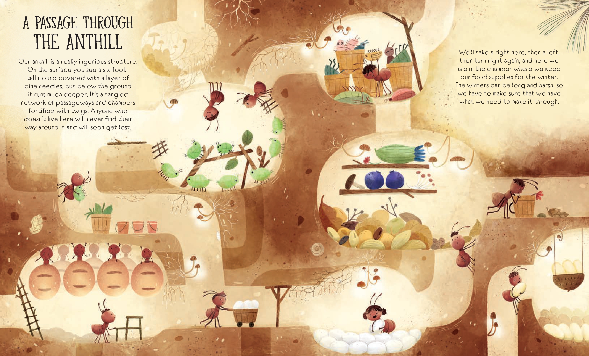 Welcome to the Anthill