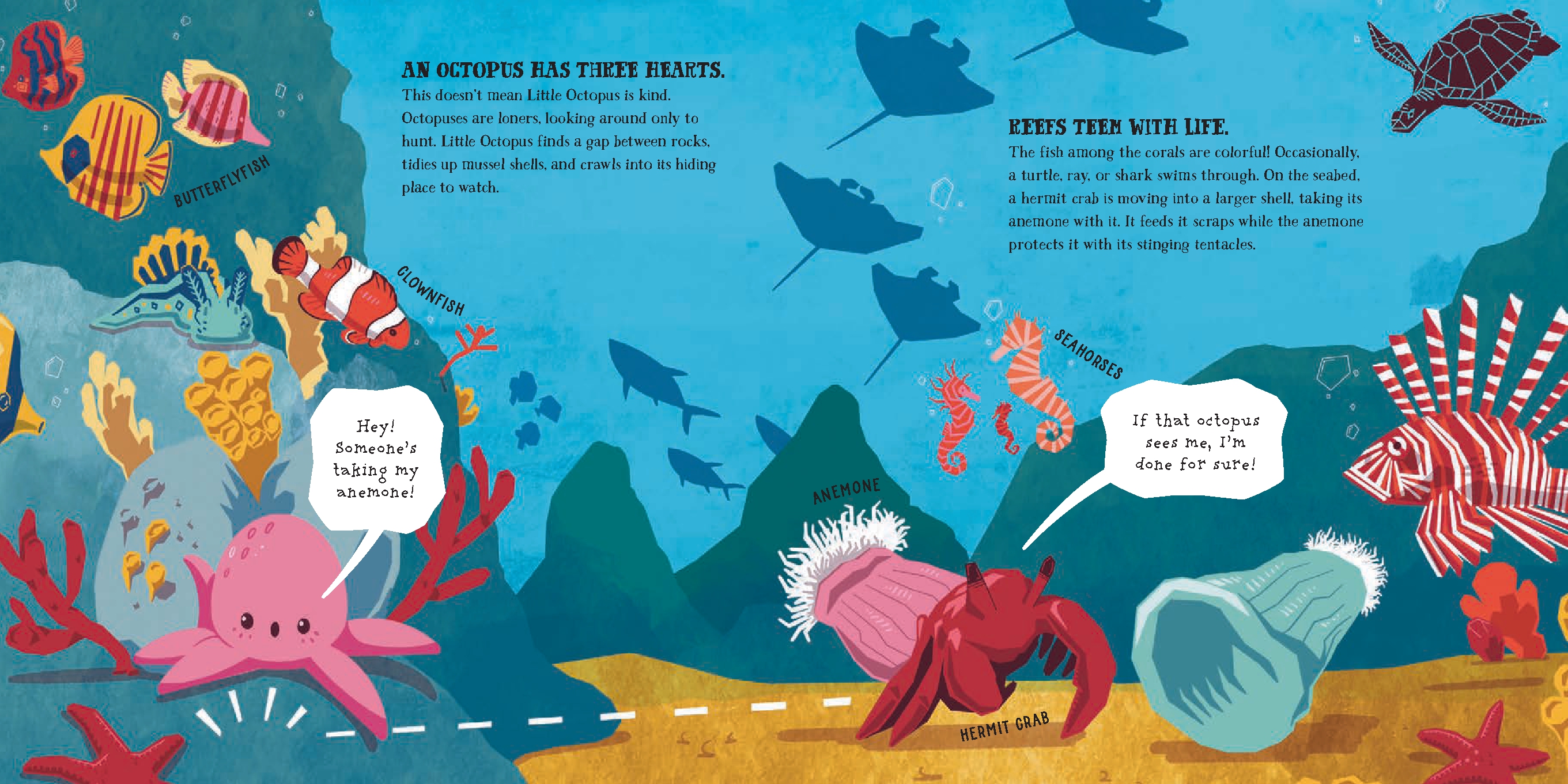 Little Octopus and the Vast Ocean