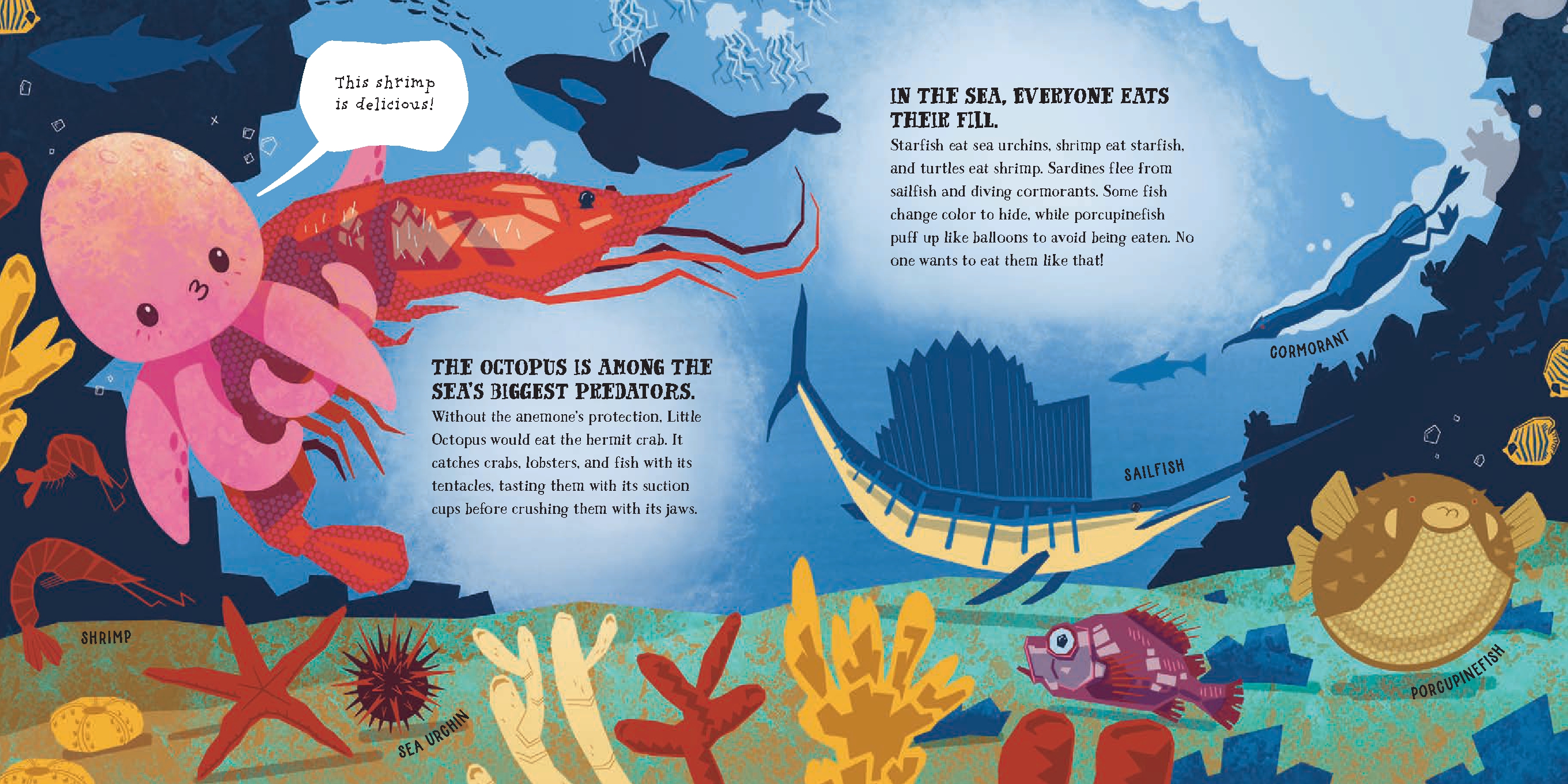 Little Octopus and the Vast Ocean
